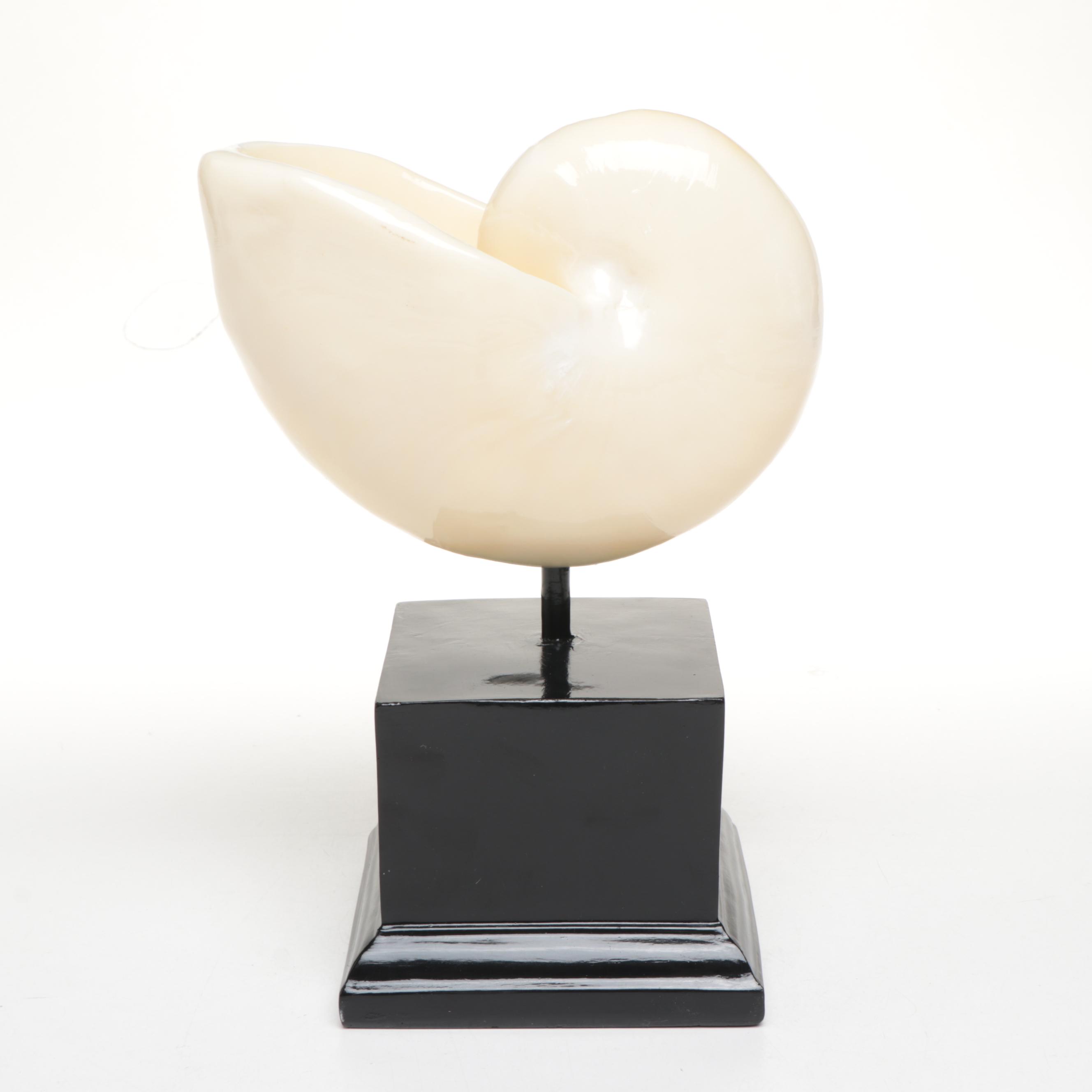 Resin Chicoreus Ramosus and Other Seashell Figurines