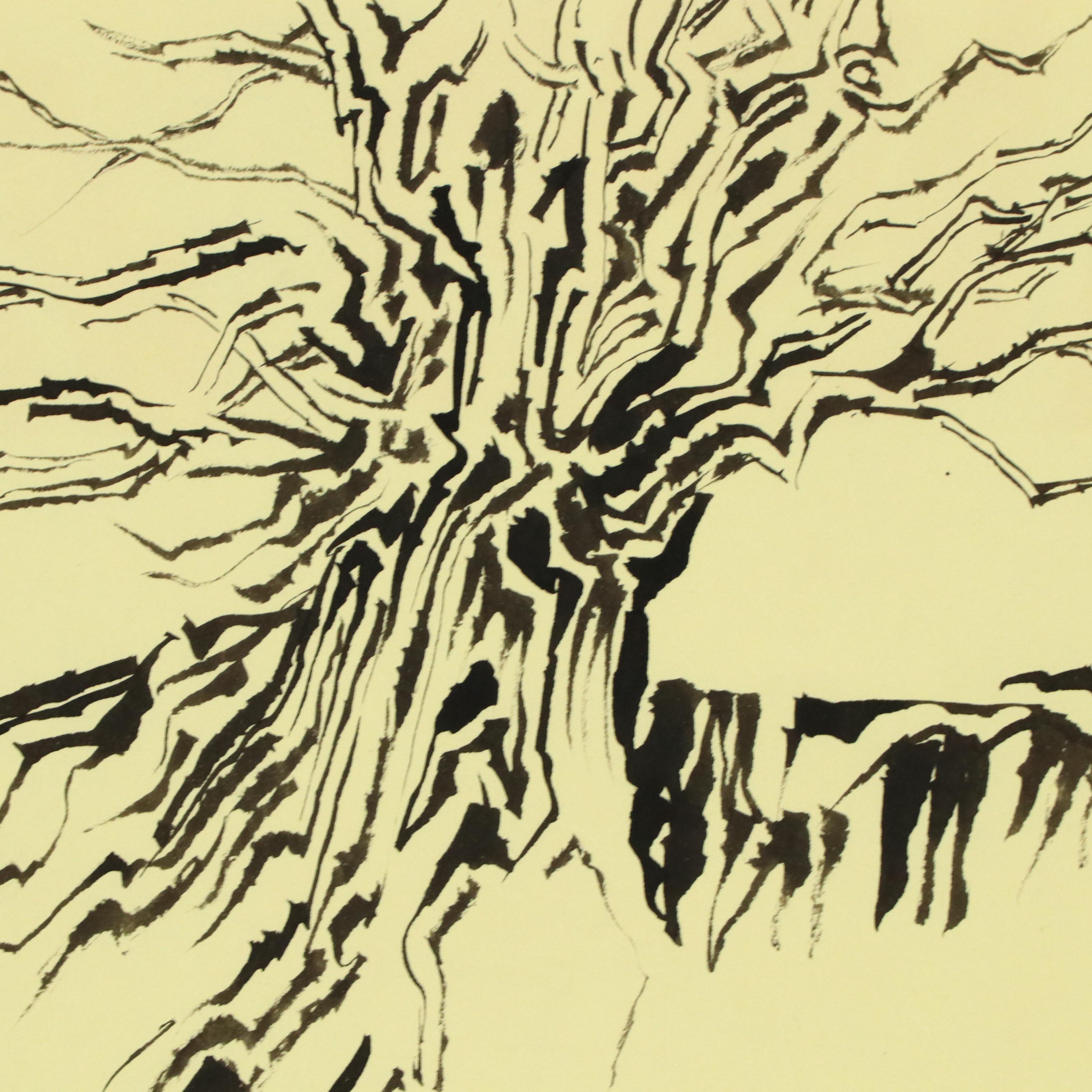 Leonard Maurer Ink Wash Drawings of Trees, Circa 1964