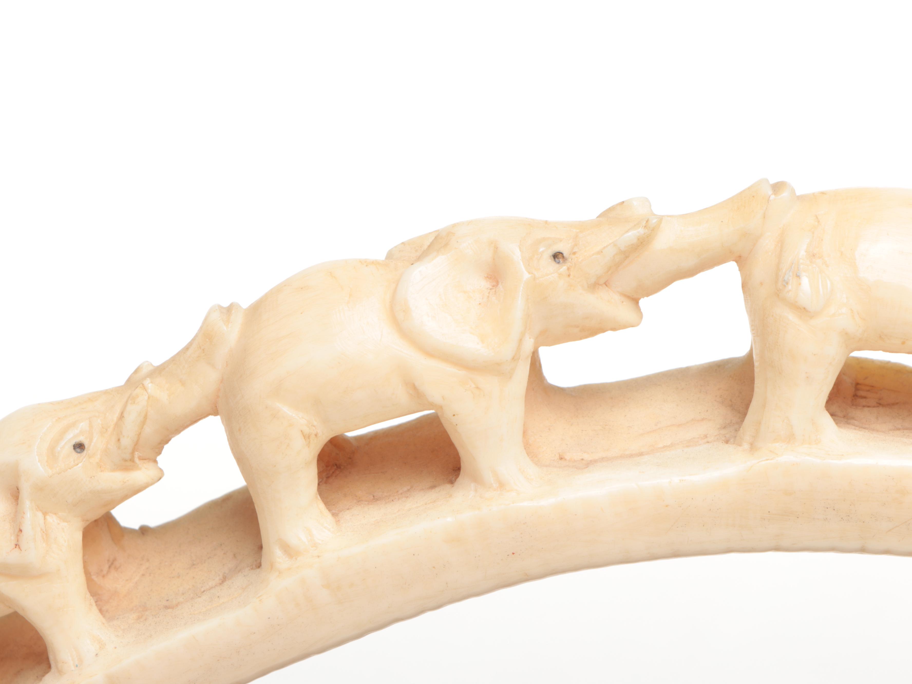 Carved Hippo Tusk