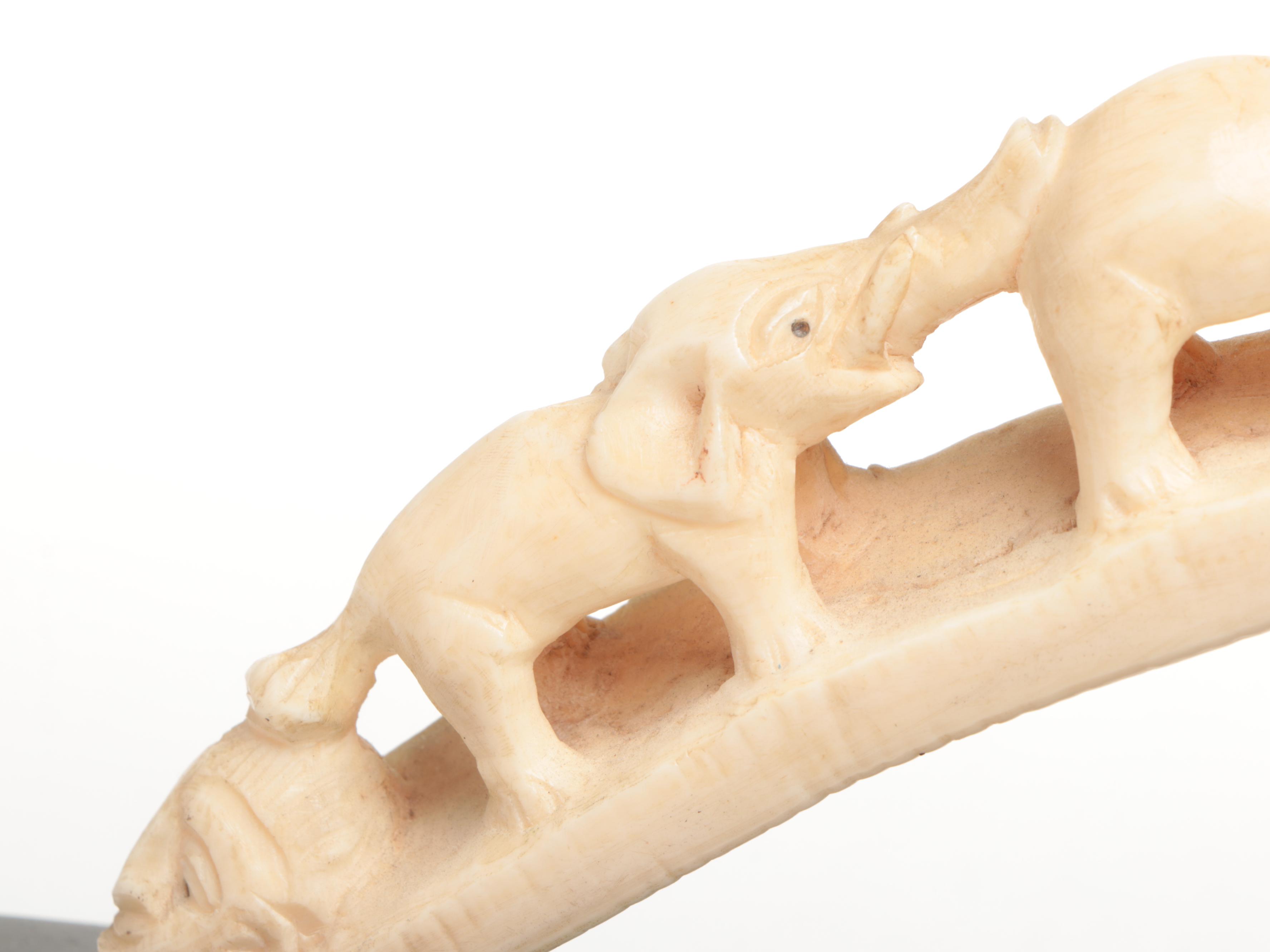 Carved Hippo Tusk