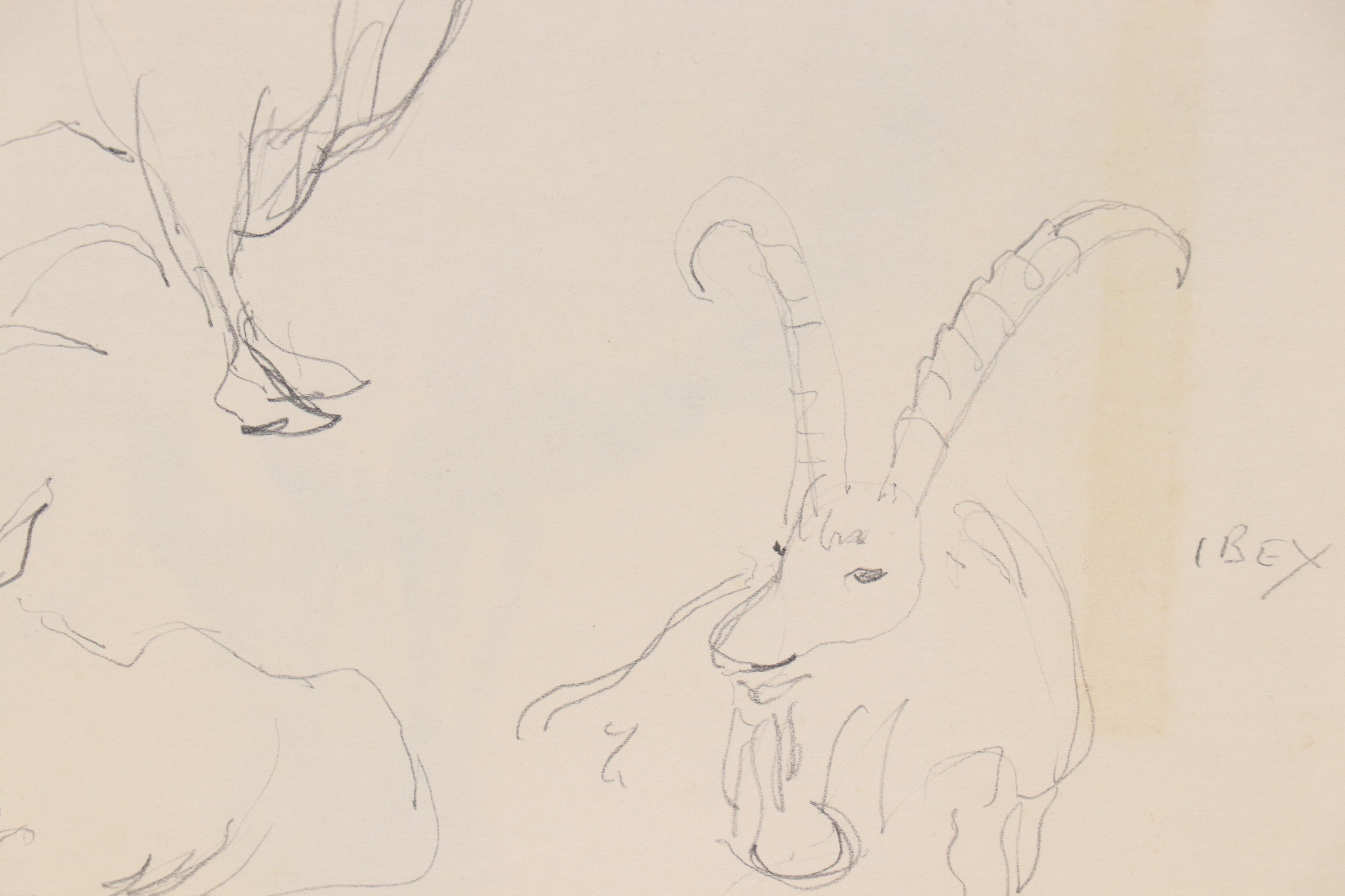 Leonard Maurer Figurative Drawings, 1940s–50s