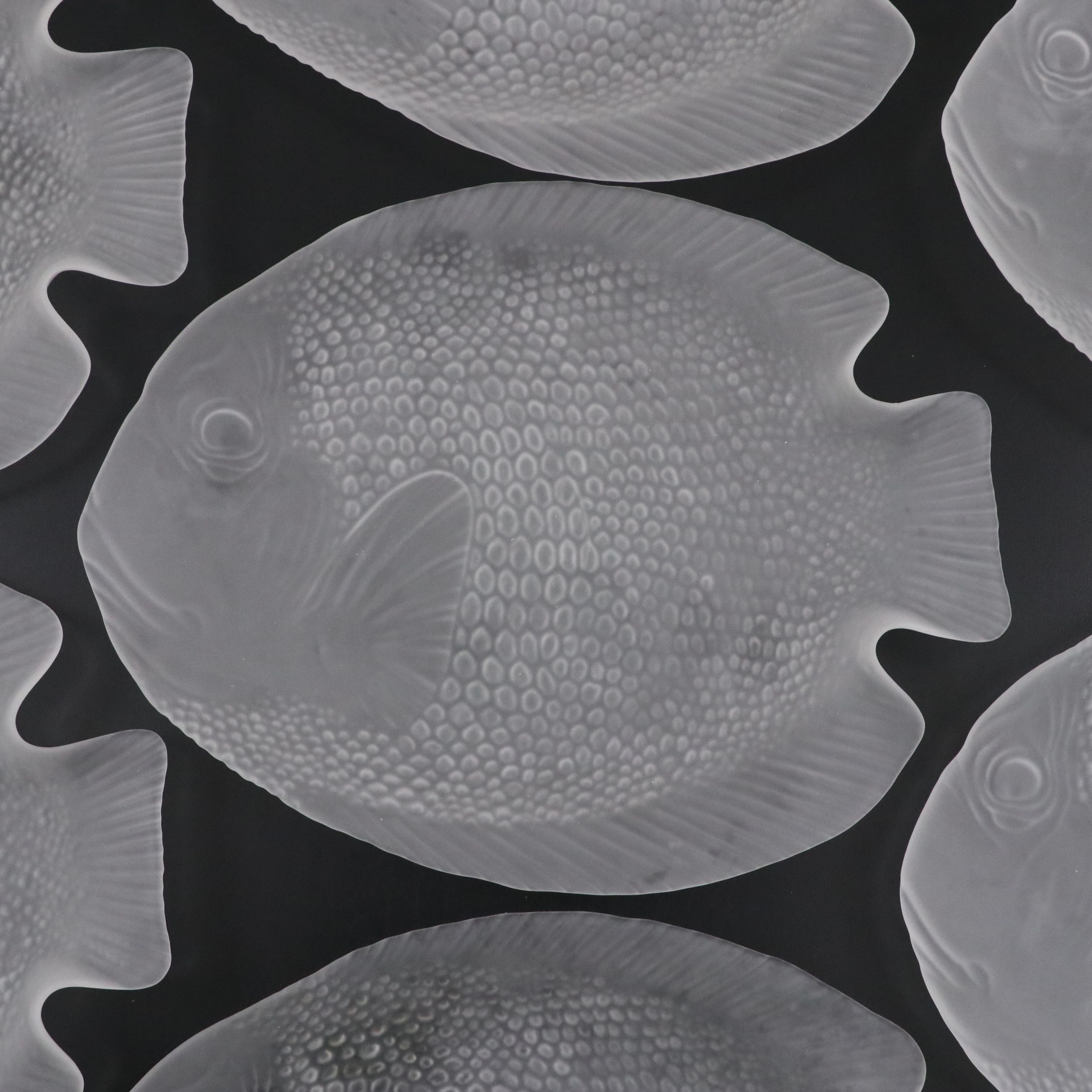 Arcoroc French Frosted Glass Fish Platter and Plates
