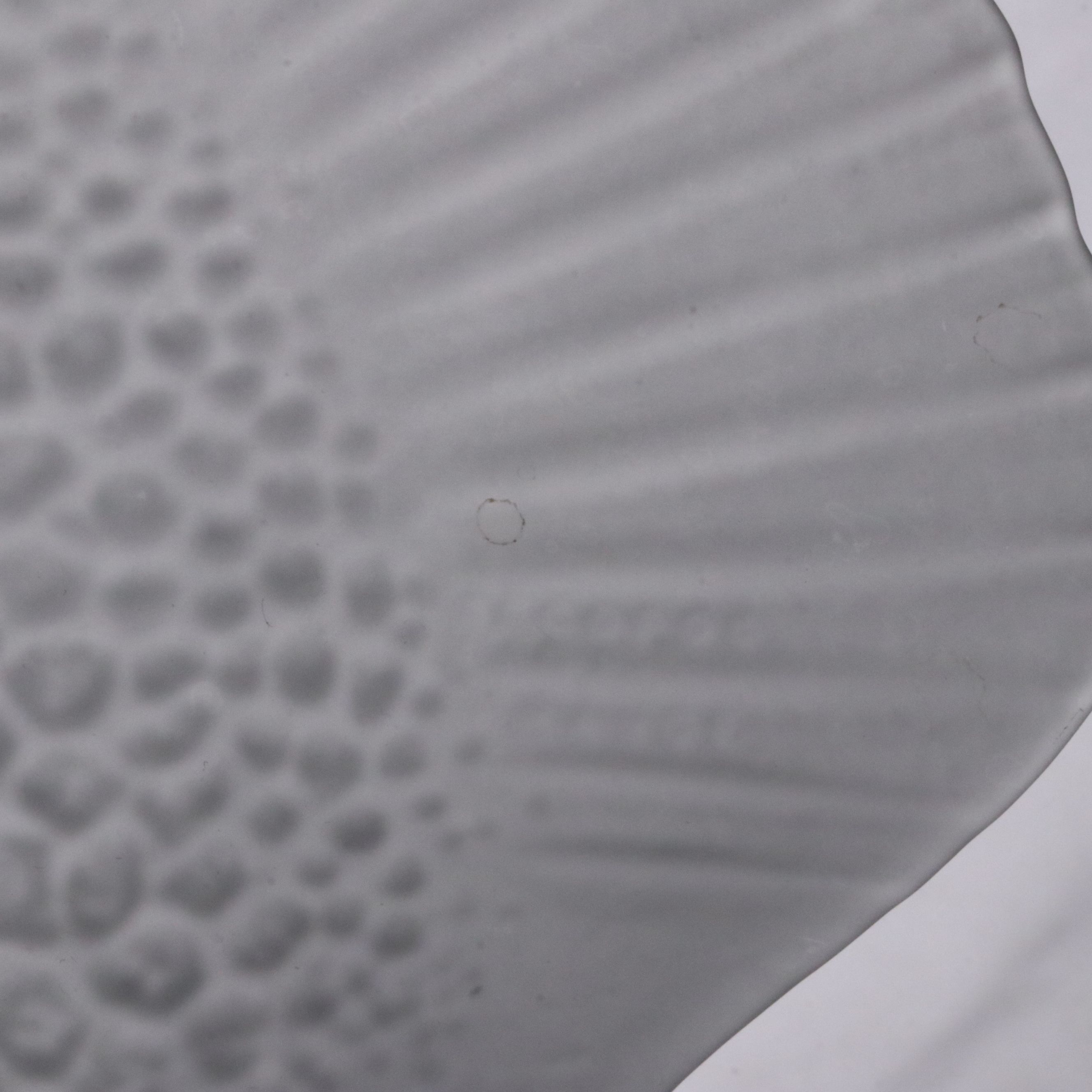 Arcoroc French Frosted Glass Fish Platter and Plates