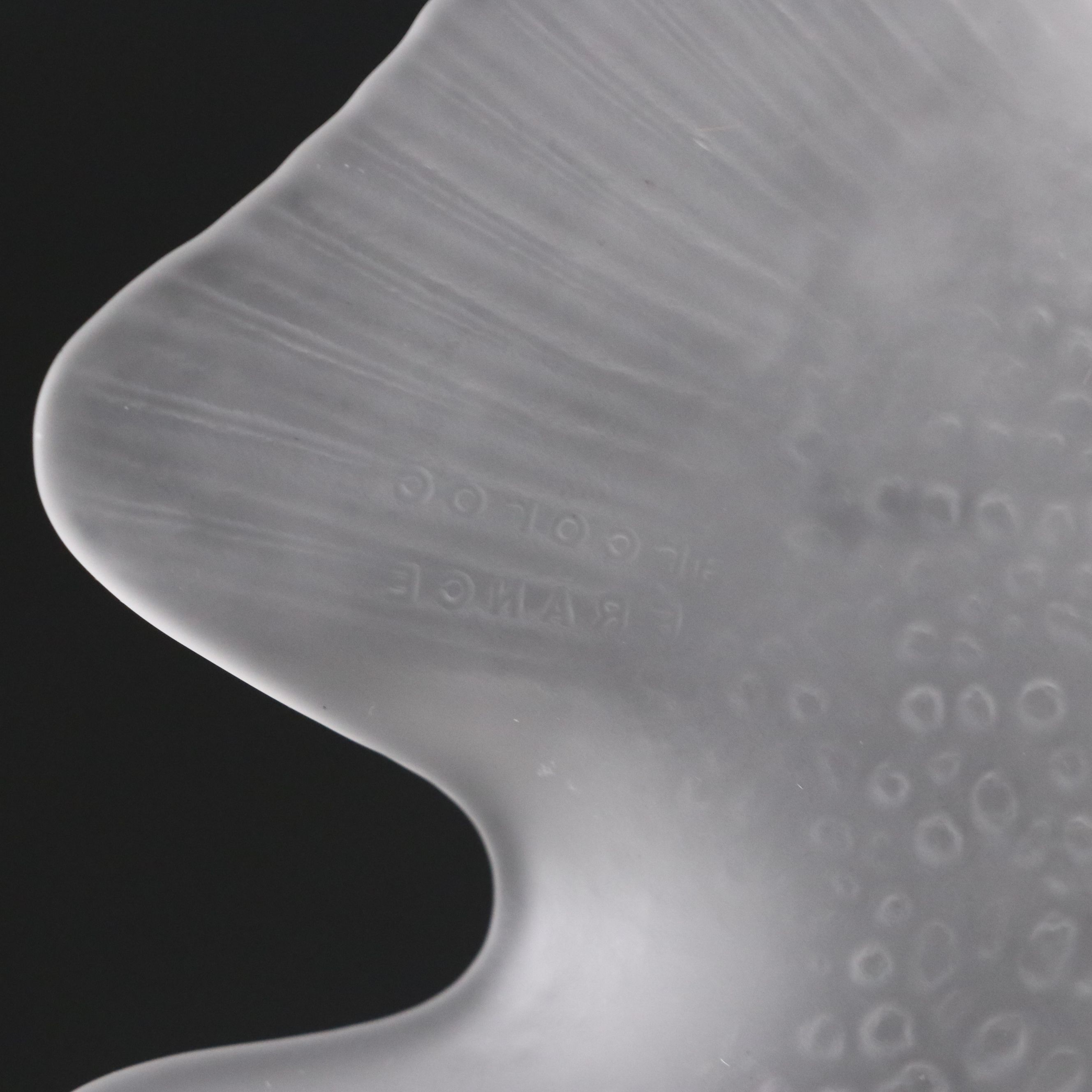 Arcoroc French Frosted Glass Fish Platter and Plates