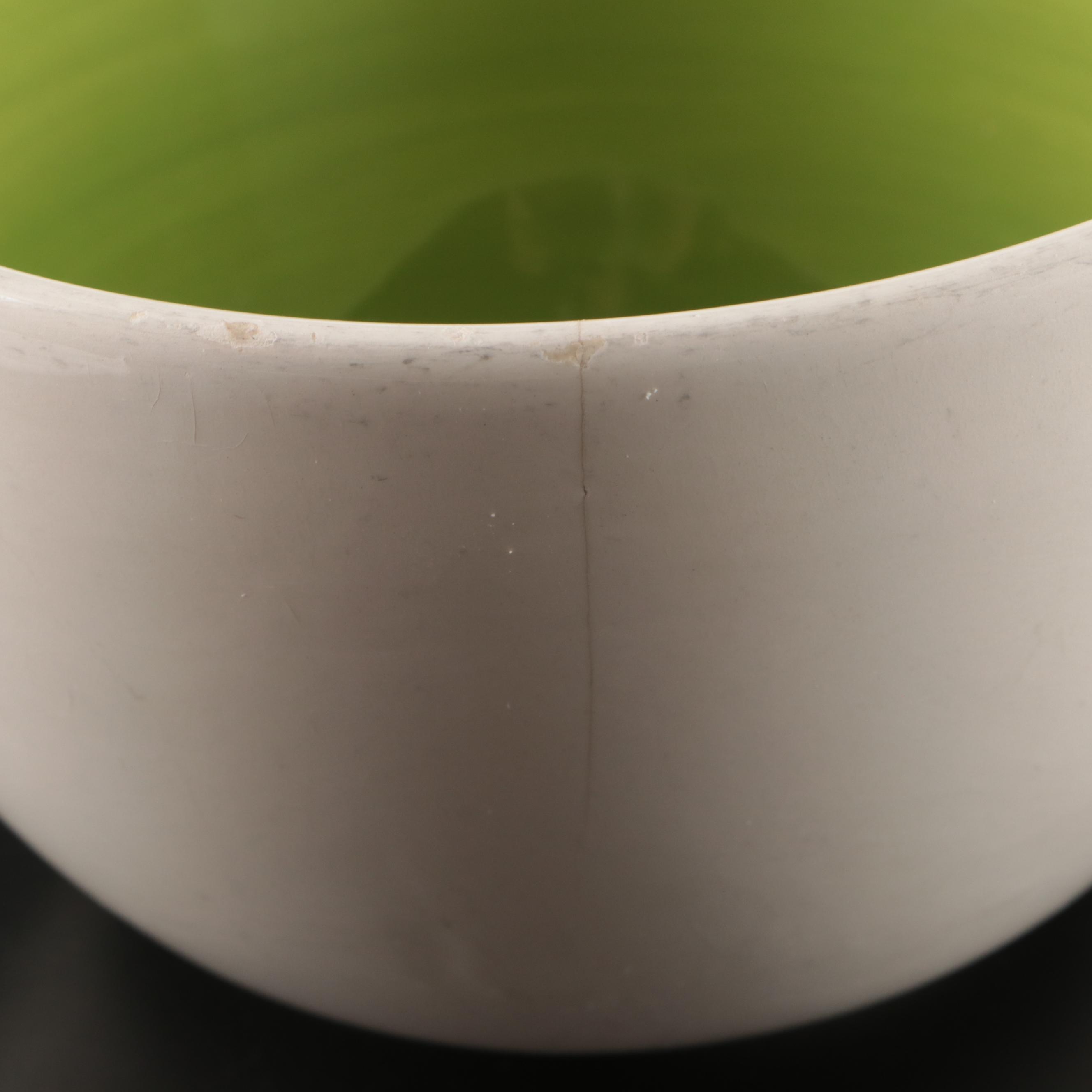 Portmeirion "The Botanic Garden" and Other Ceramic Tableware