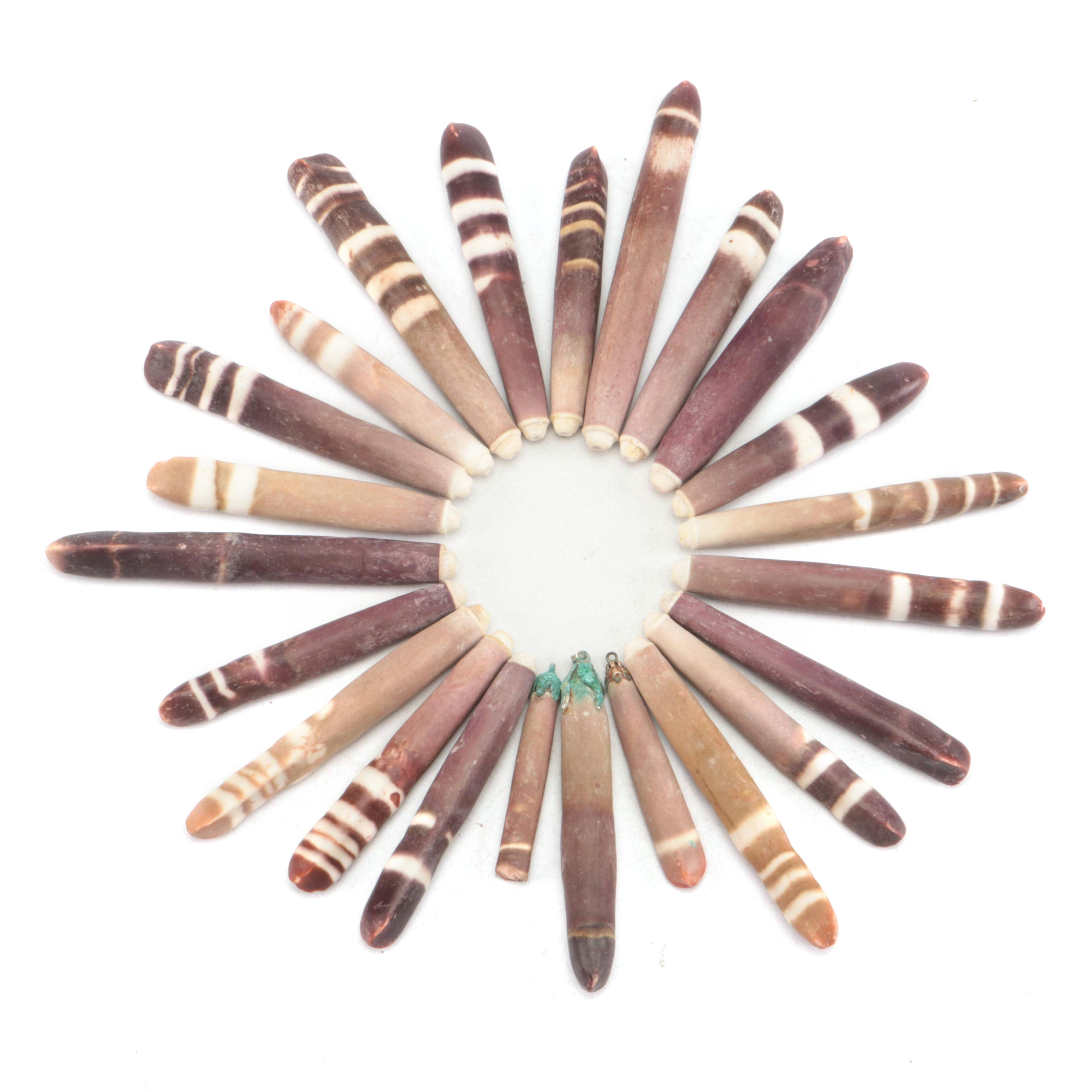 Pencil Slate Sea Urchin Spines, Some with Pendant Bails