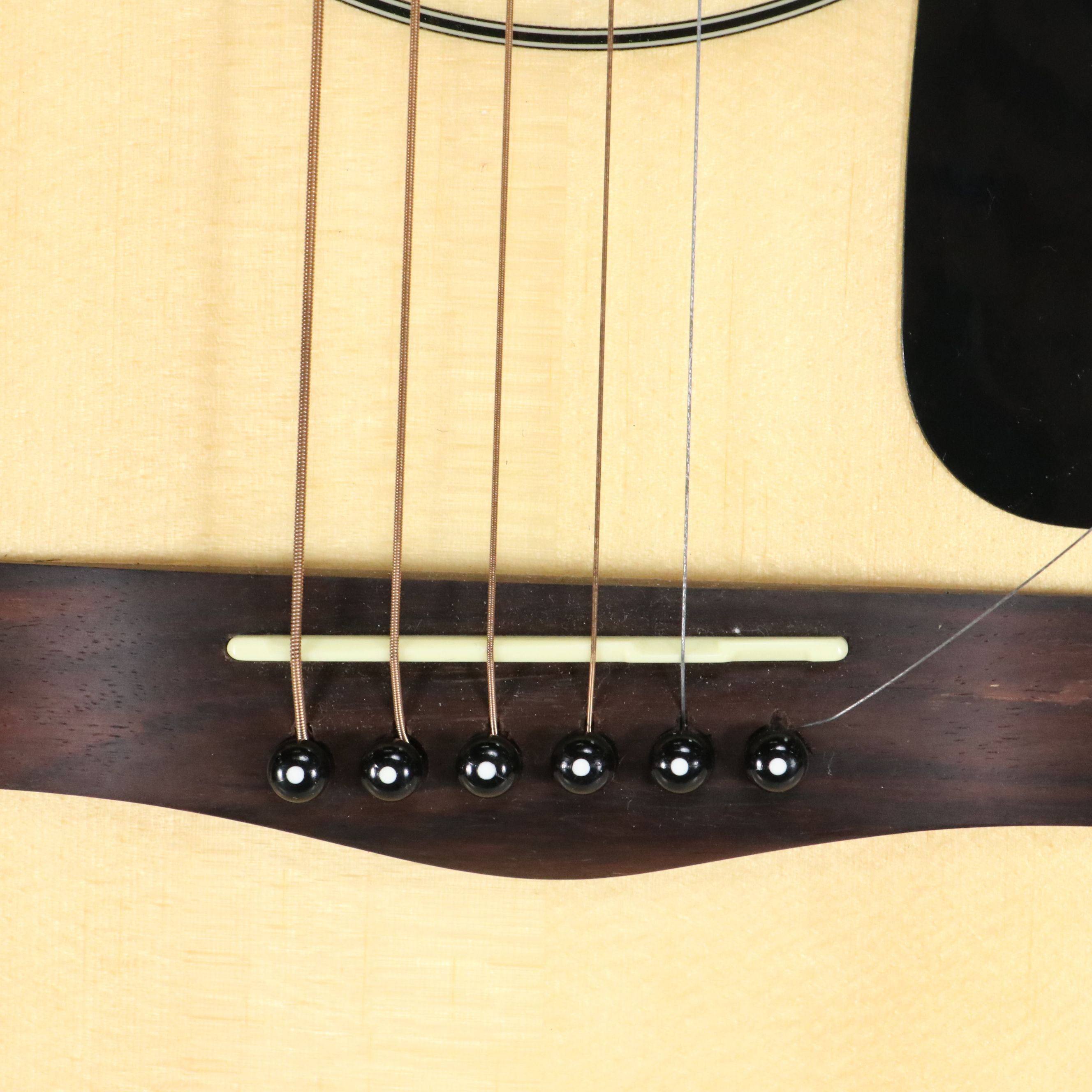 Fender DG-8S Spruce Top Dreadnought Acoustic Guitar, Fender Nylon Gig Bag, More