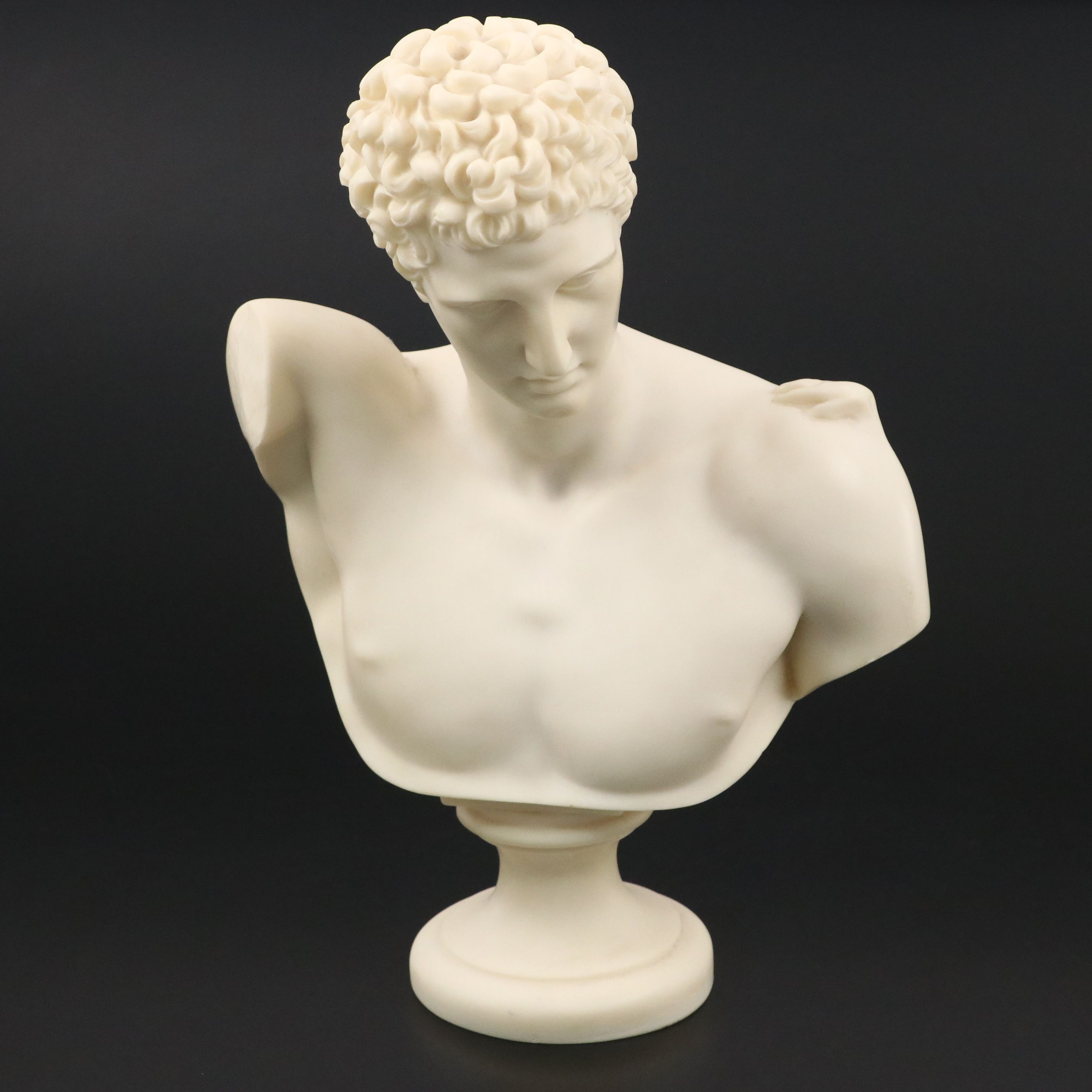 Resin Busts After Praxitiles' "Hermes" with Busts of Hippocrates and Napoleon