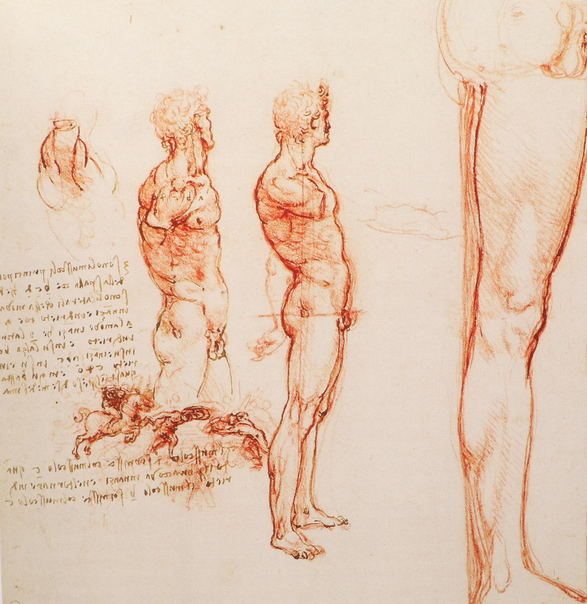 First Edition "Leonardo da Vinci: Anatomist" by Martin Clayton and Ron Philo