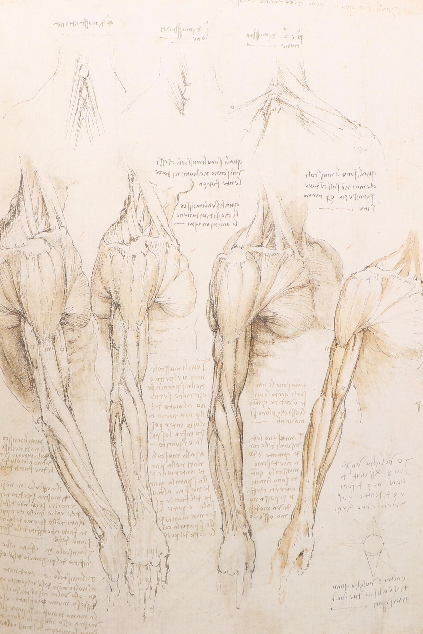 First Edition "Leonardo da Vinci: Anatomist" by Martin Clayton and Ron Philo