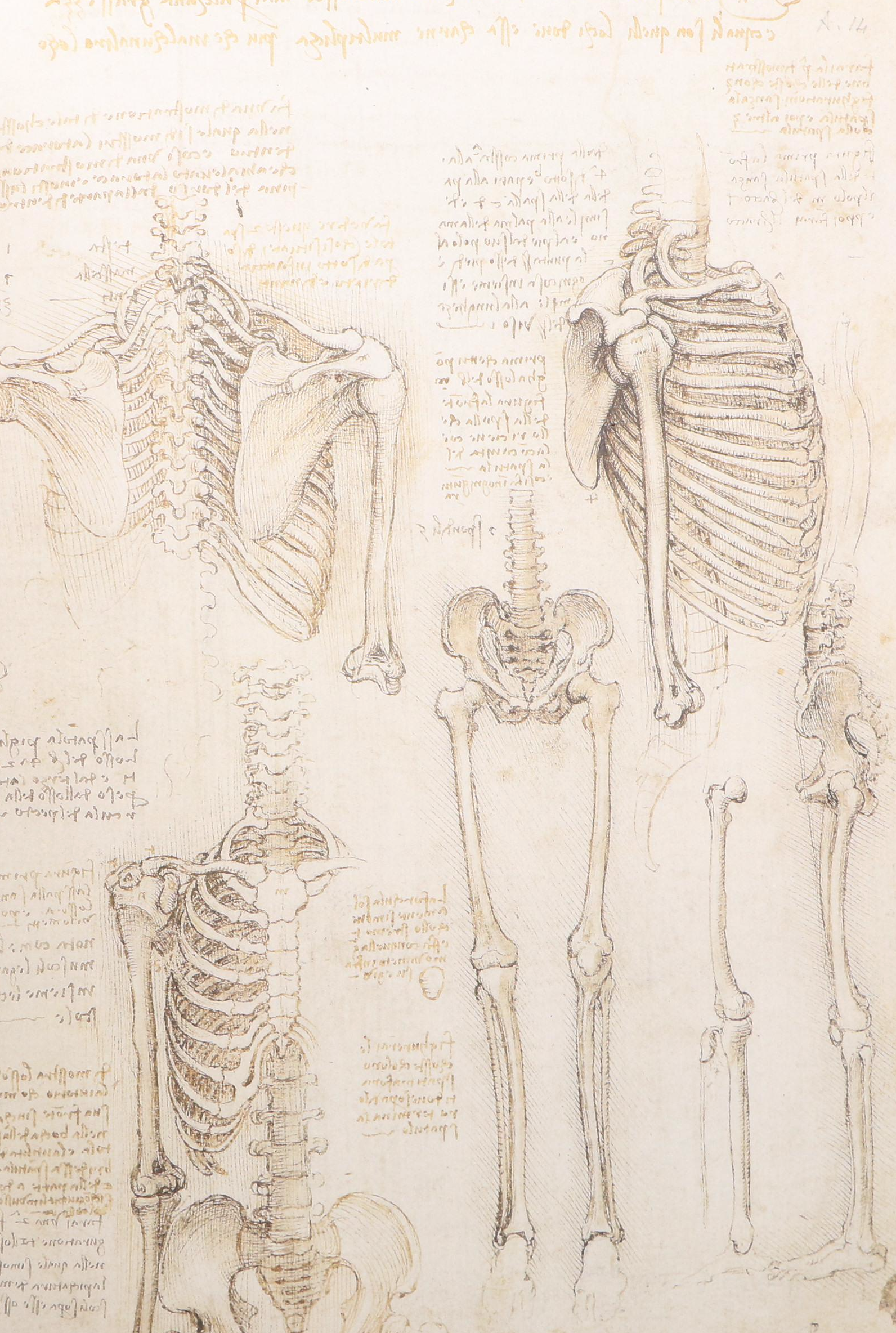 First Edition "Leonardo da Vinci: Anatomist" by Martin Clayton and Ron Philo