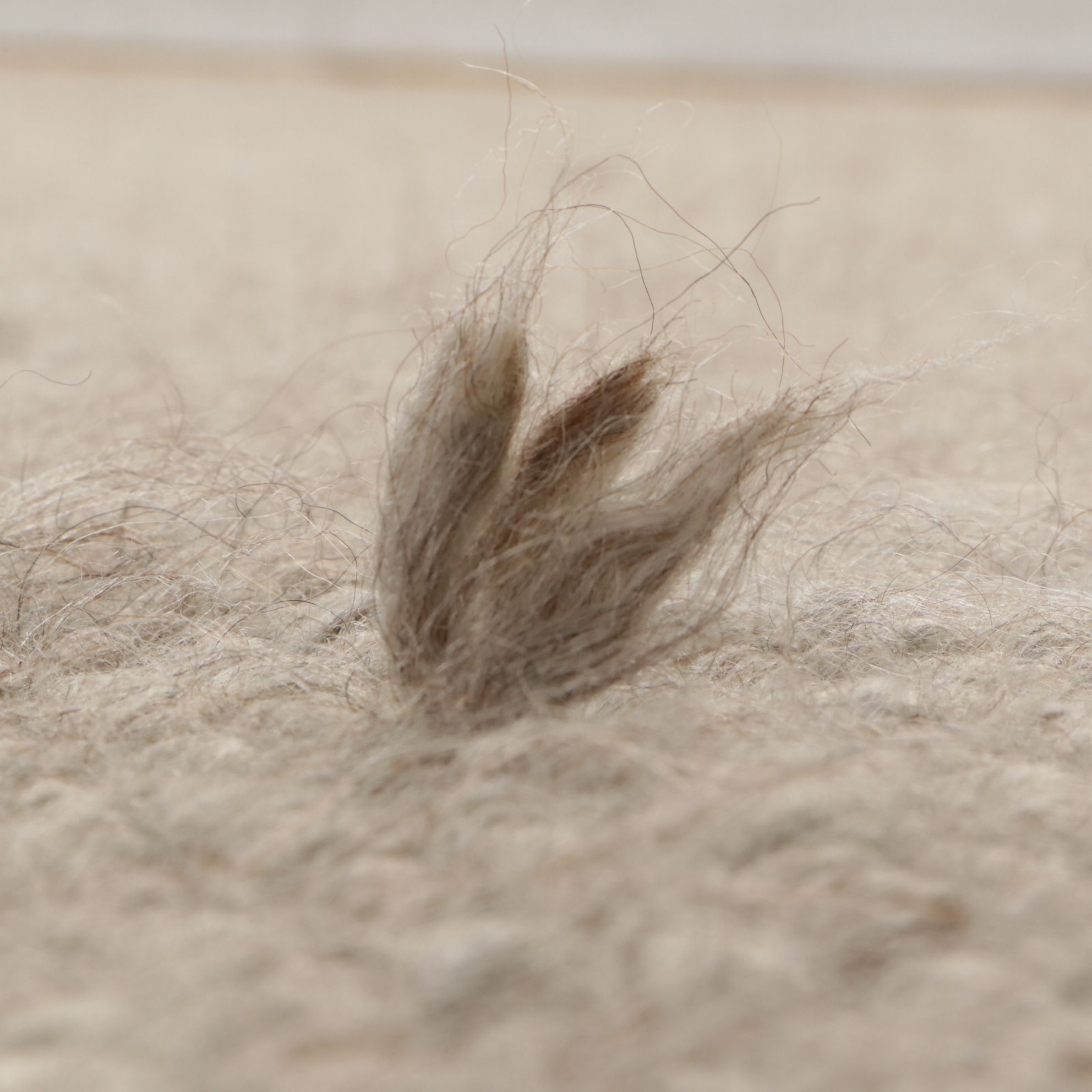 9' x 12'5 Handwoven Ben Soleimani for Restoration Hardware Room Sized Rug