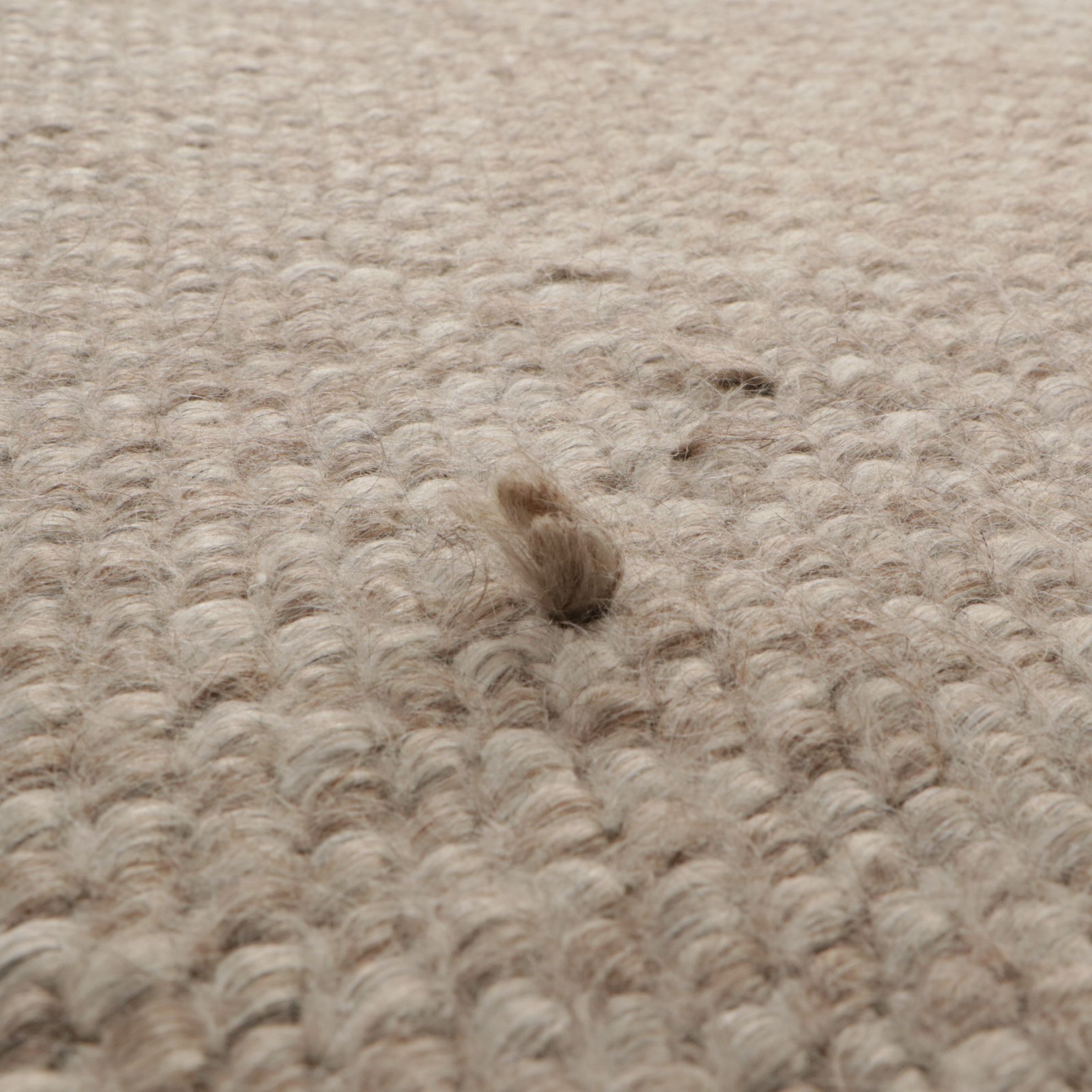 9' x 12'5 Handwoven Ben Soleimani for Restoration Hardware Room Sized Rug