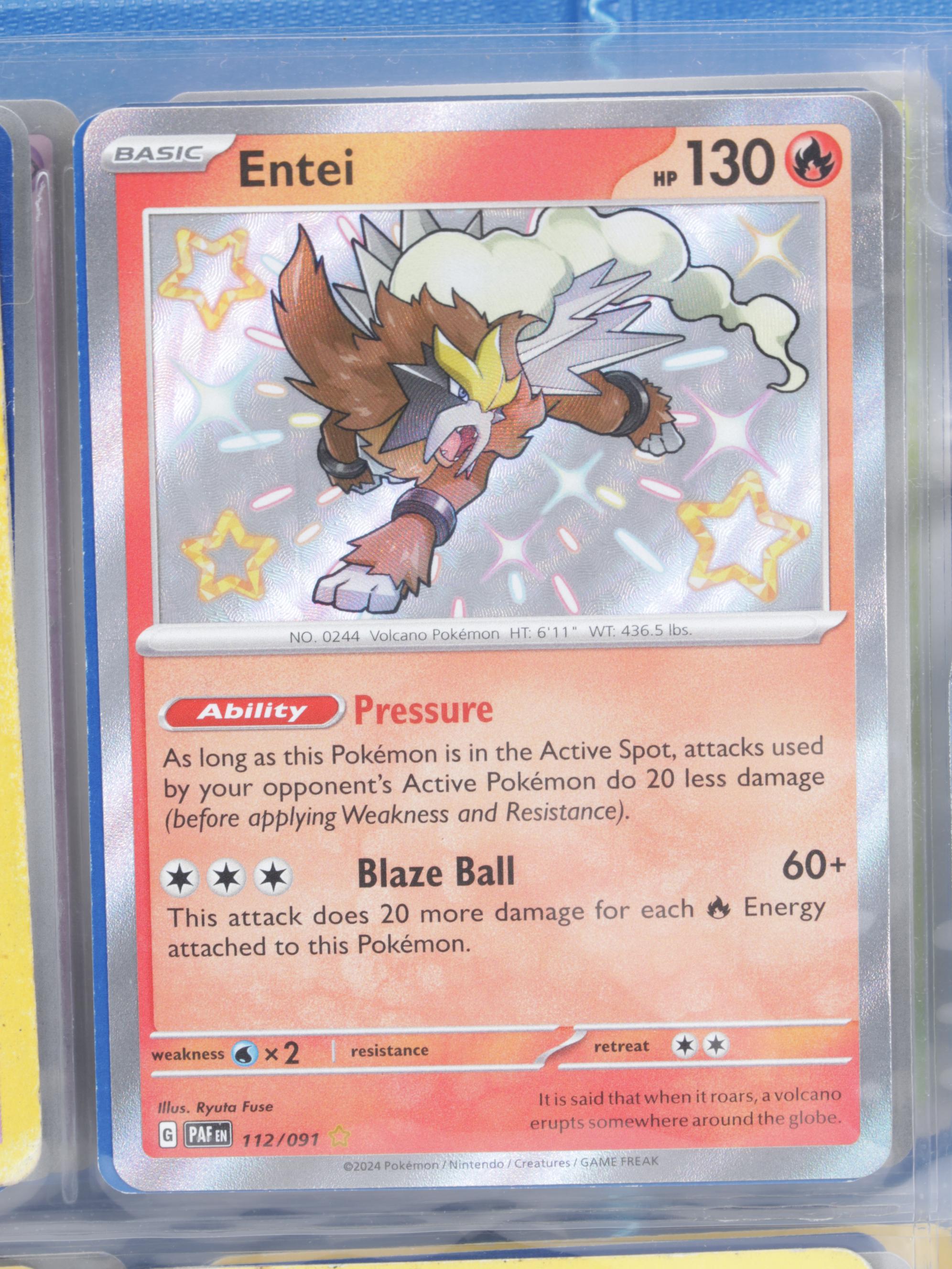 Pokémon Card Collection Featuring Team Rocket Set, Holos & More, 1995–2025