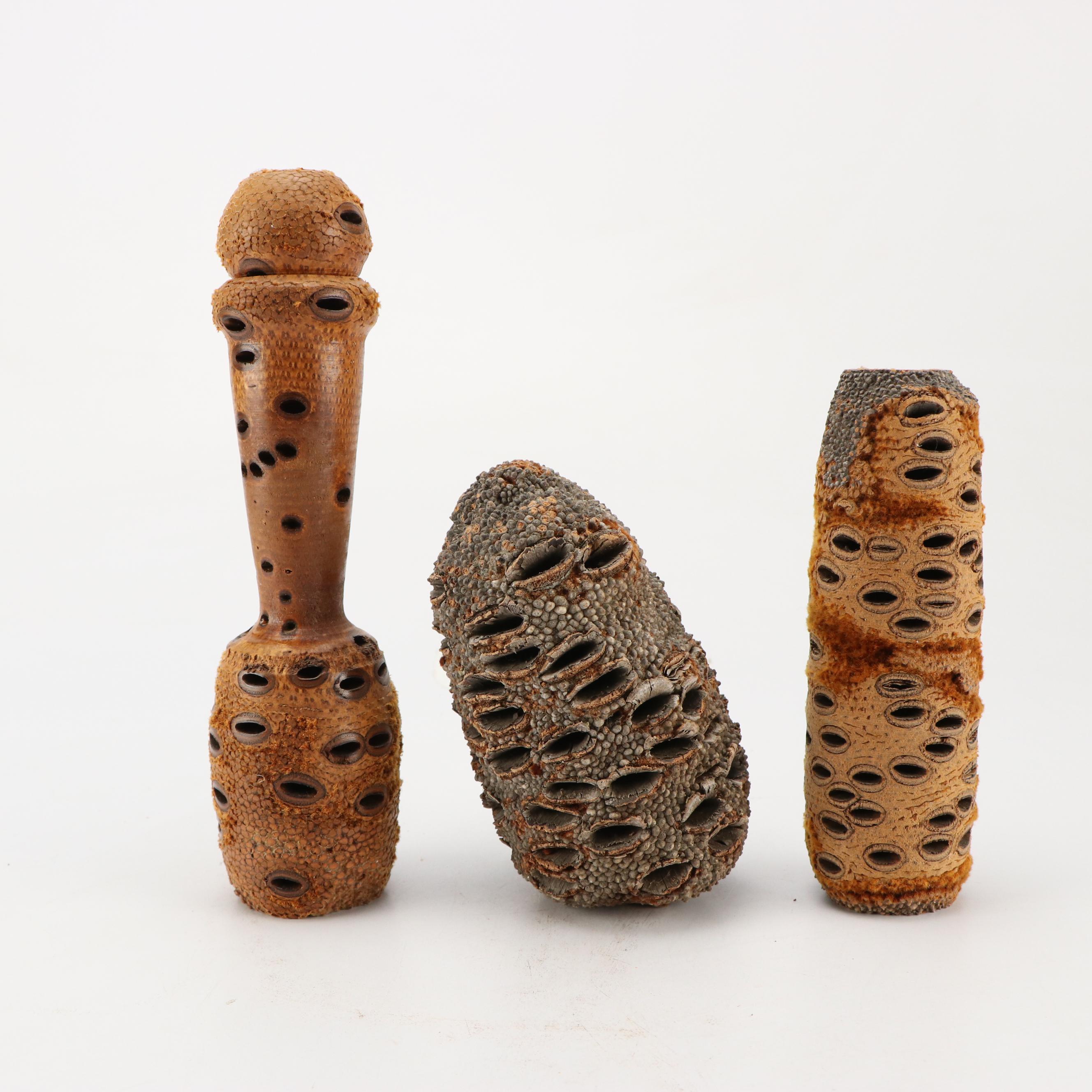 Australian Turned Banksia Seed Wood Bottles and Vase with Other Décor