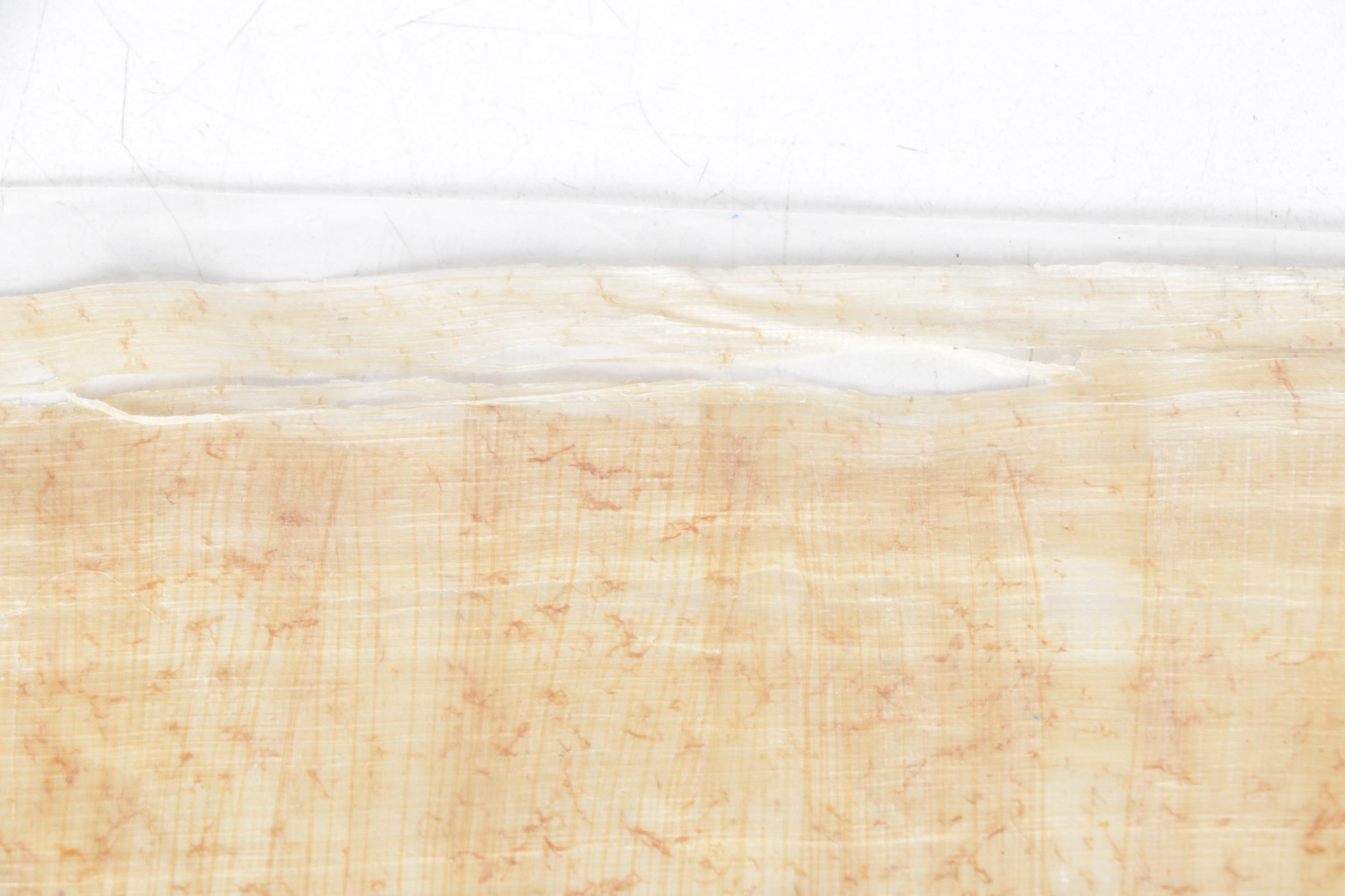 Egyptian Souvenir Gouache Painting on Papyrus of Falcon and Scarab Symbolism