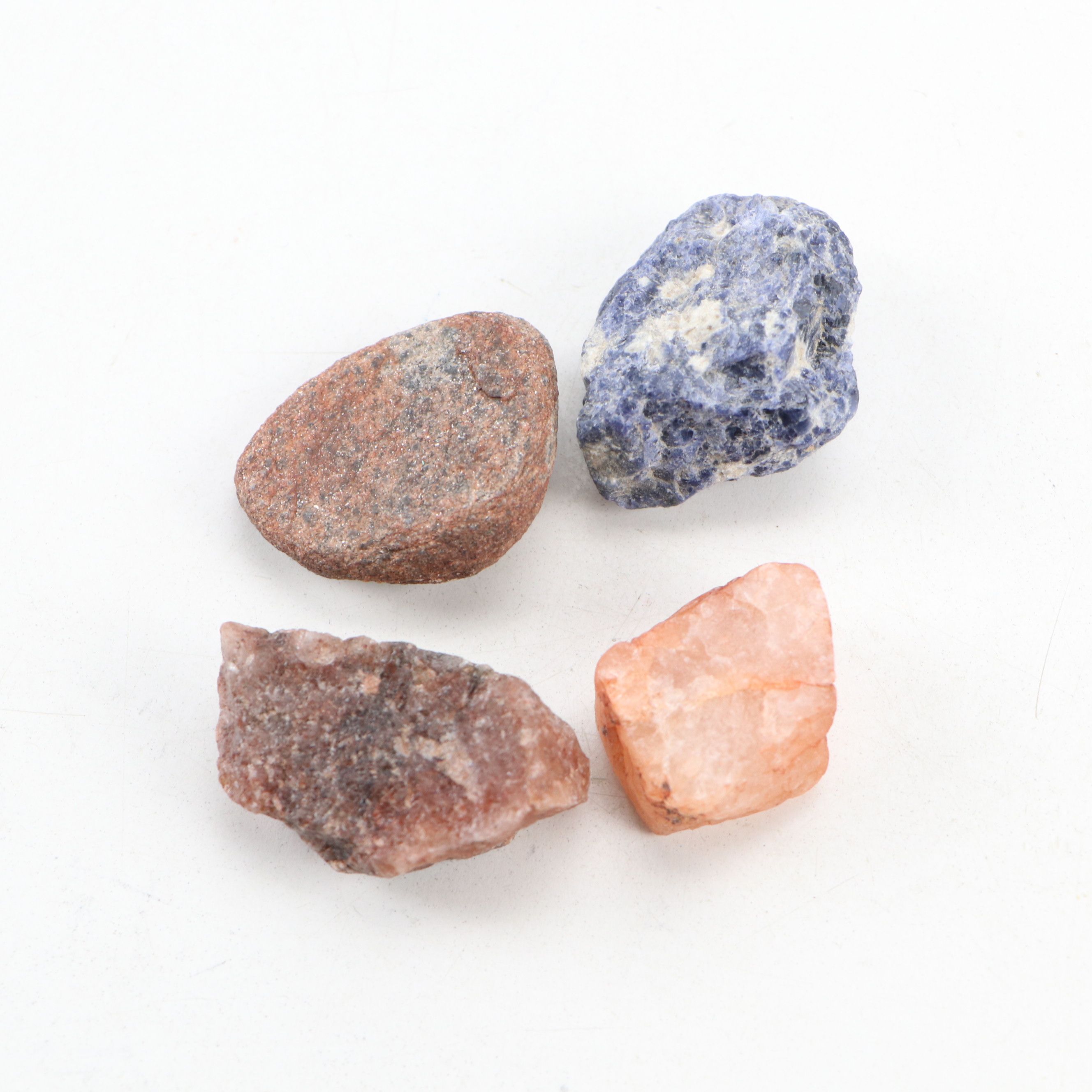 Fossil Stony Corals, Crinoid Stems with Sodalite, Quartz, Petrified Wood, More