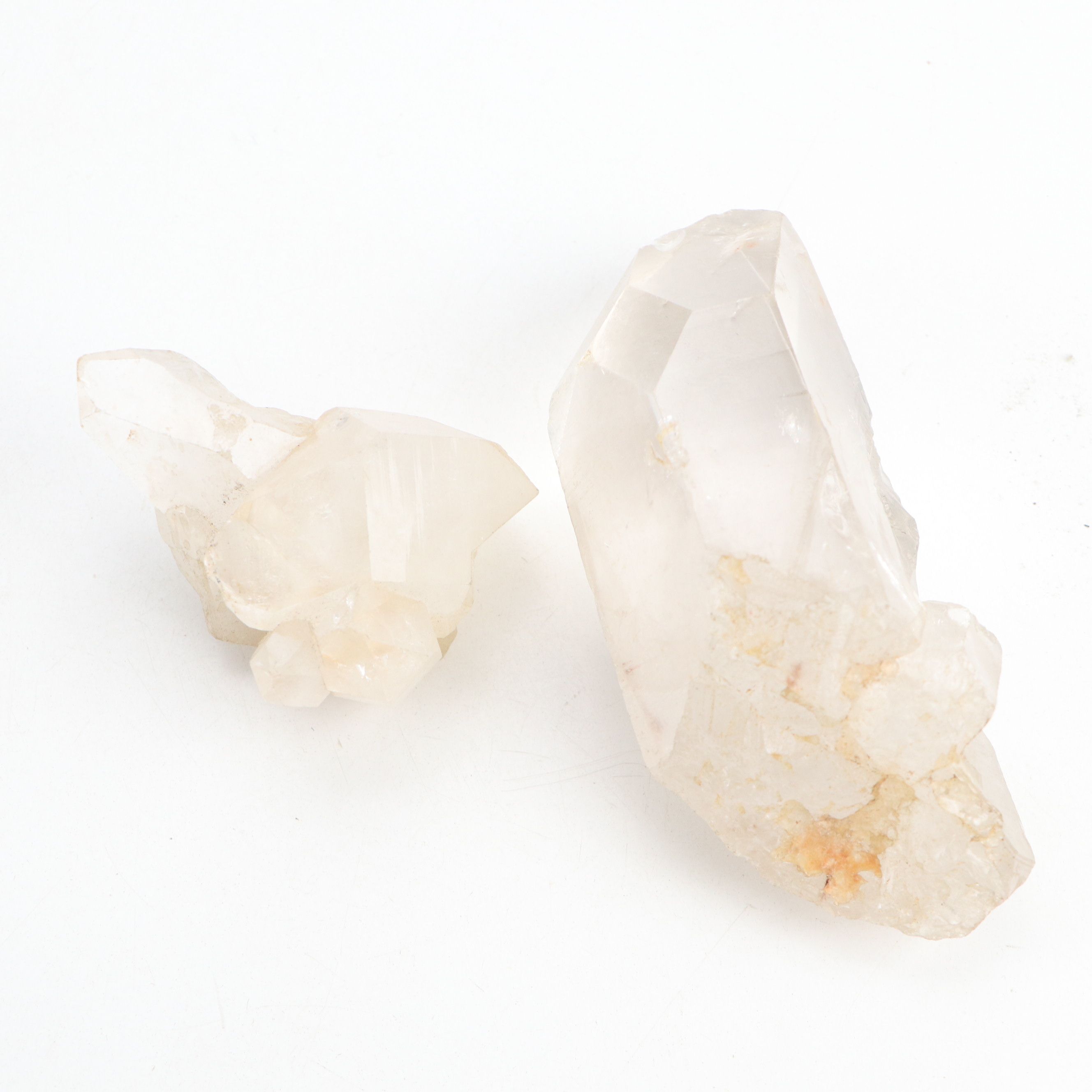 Fossil Stony Corals, Crinoid Stems with Sodalite, Quartz, Petrified Wood, More