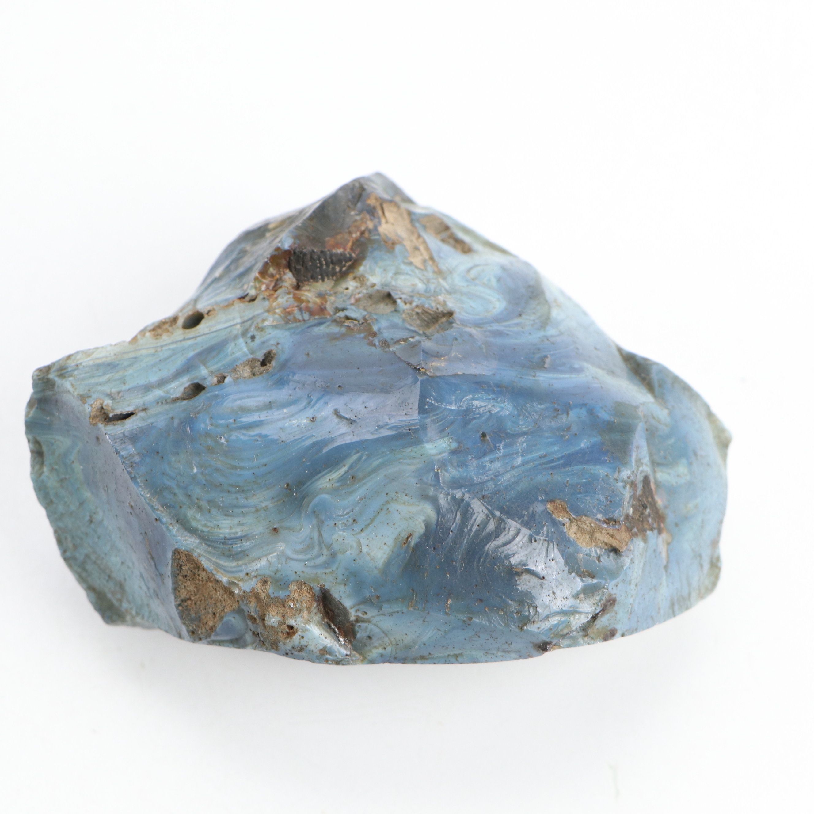 Fossil Stony Corals, Crinoid Stems with Sodalite, Quartz, Petrified Wood, More