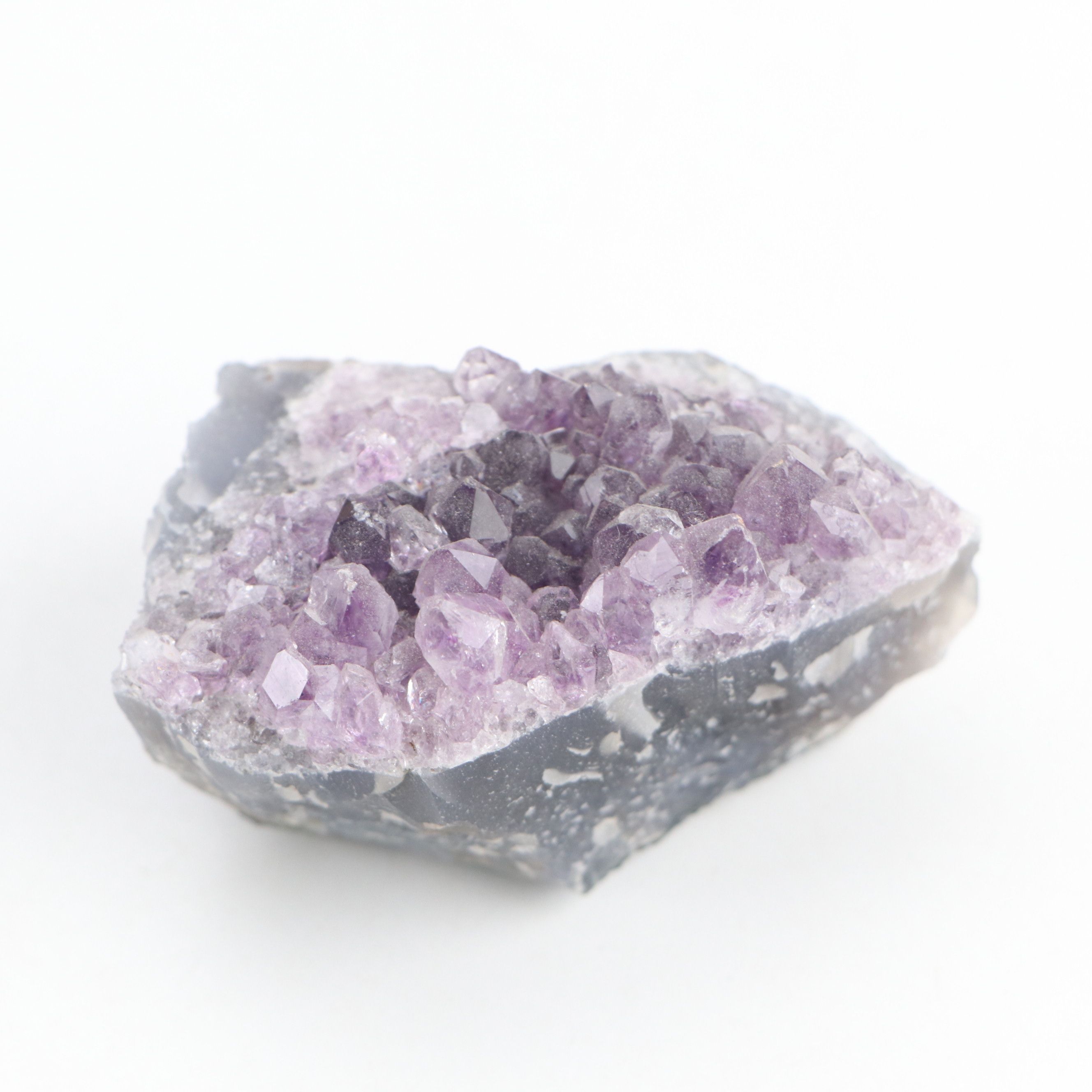 Fossil Stony Corals, Crinoid Stems with Sodalite, Quartz, Petrified Wood, More