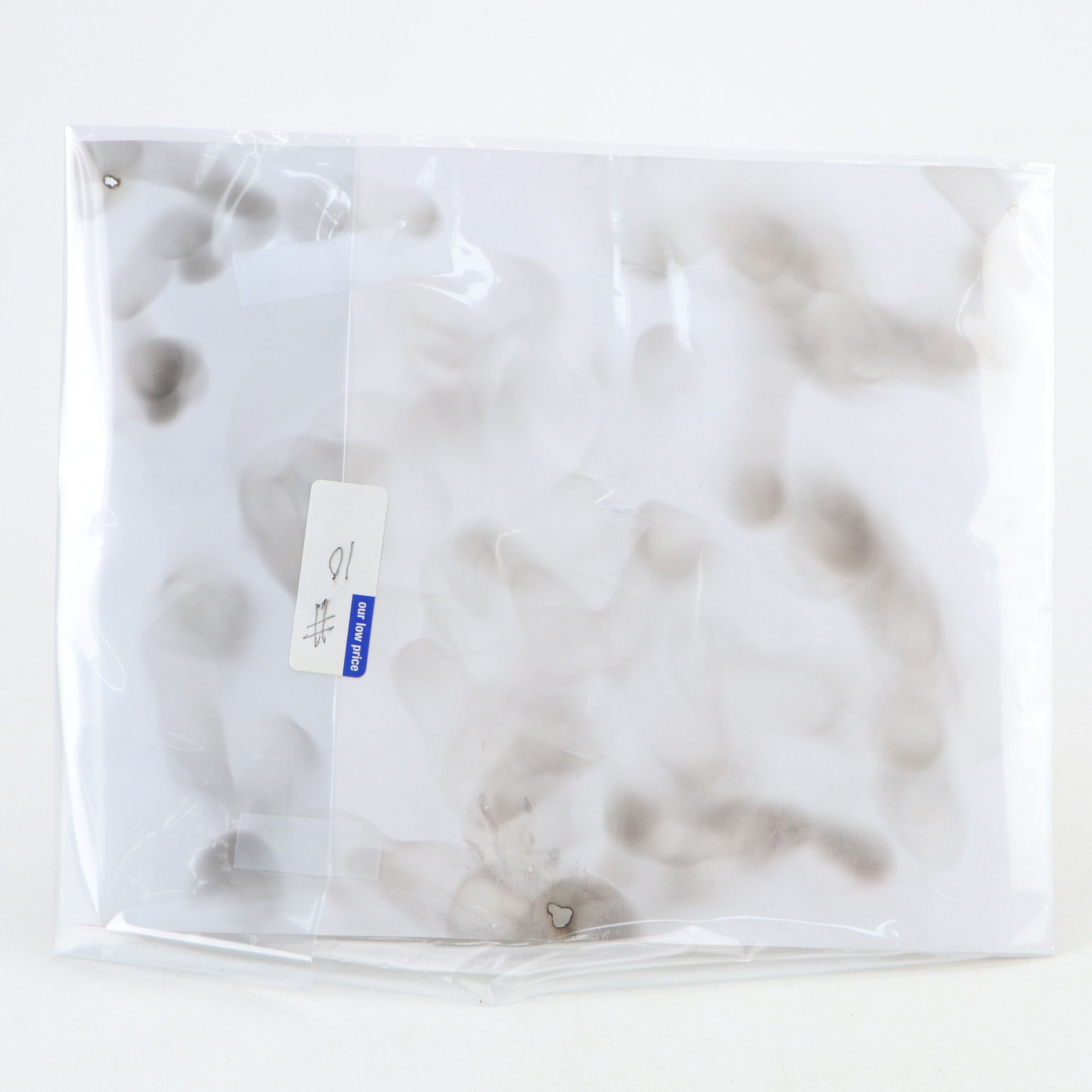 "Closed for Violation of National Prohibition Act" Paper Sign