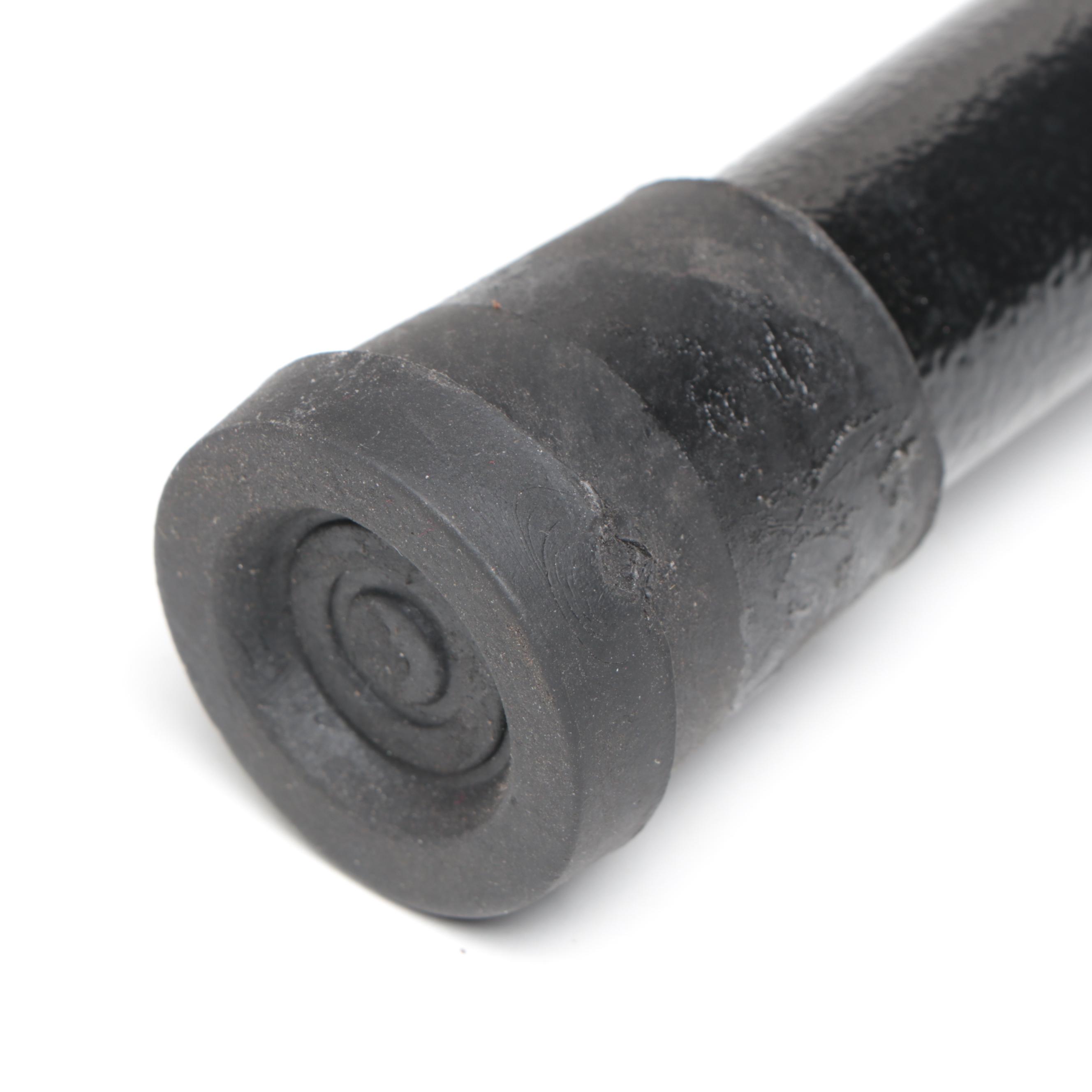 Snarling Dog Head Handled Sword Cane