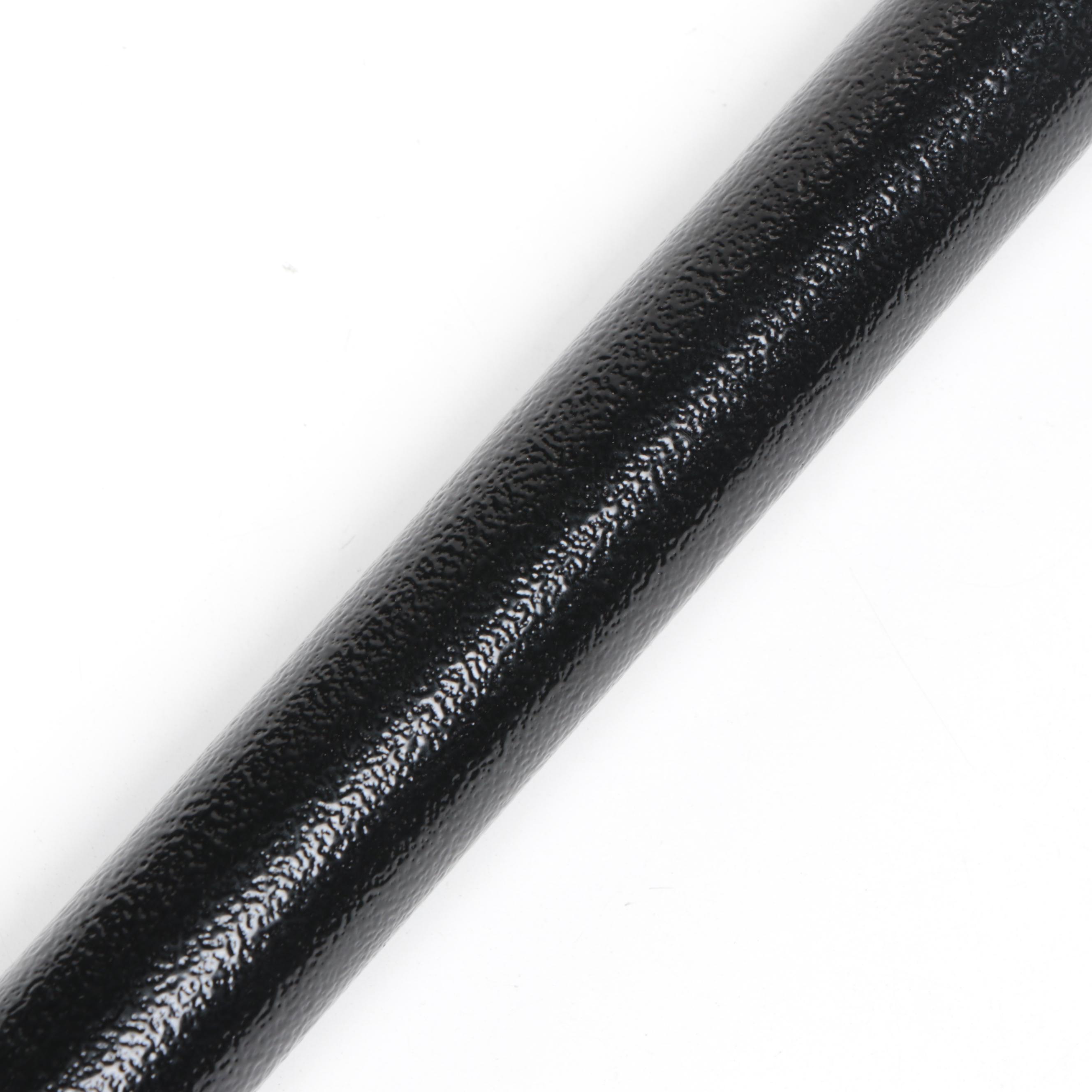 Lion Derby Handled Sword Cane