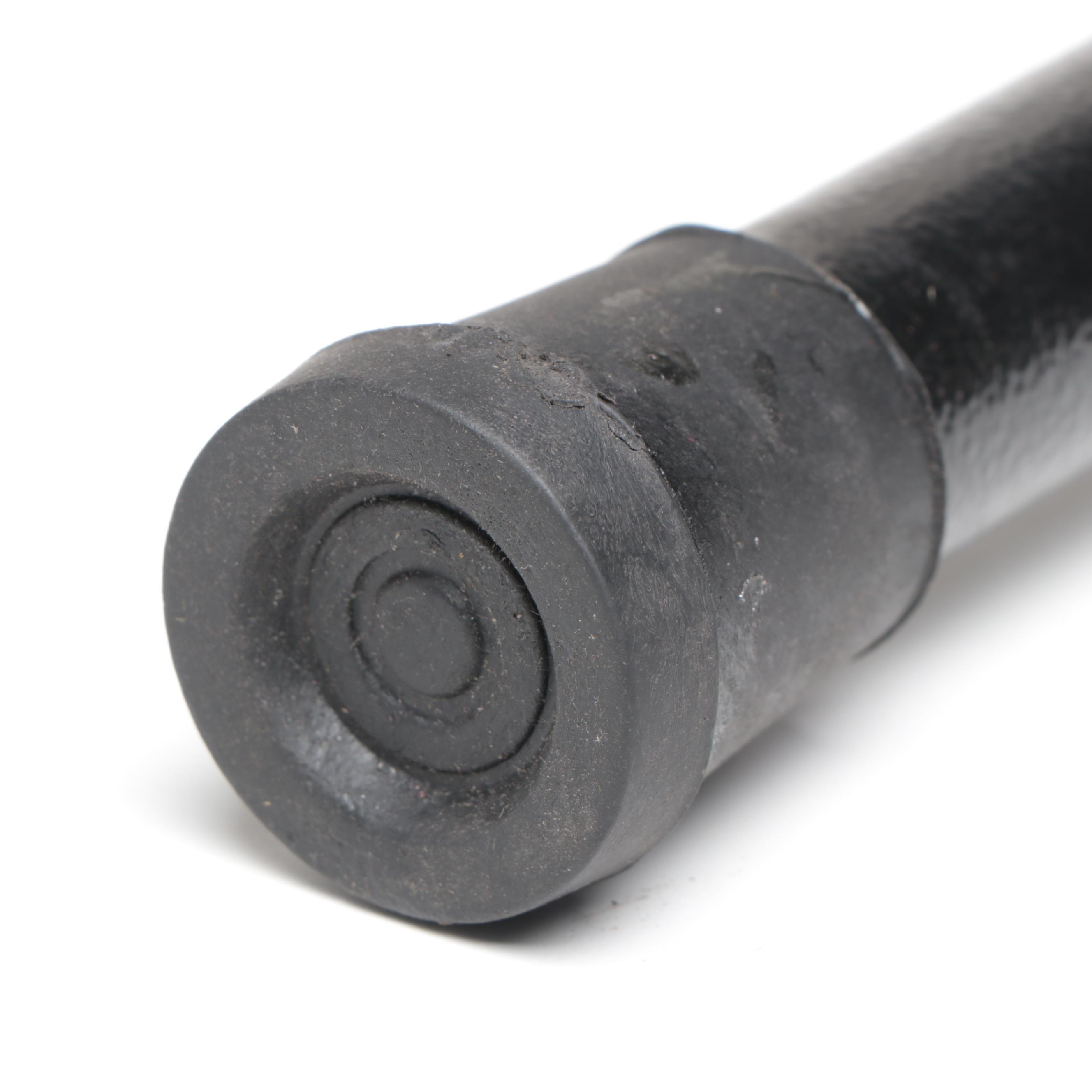 Eagle Headed Handled Sword Cane