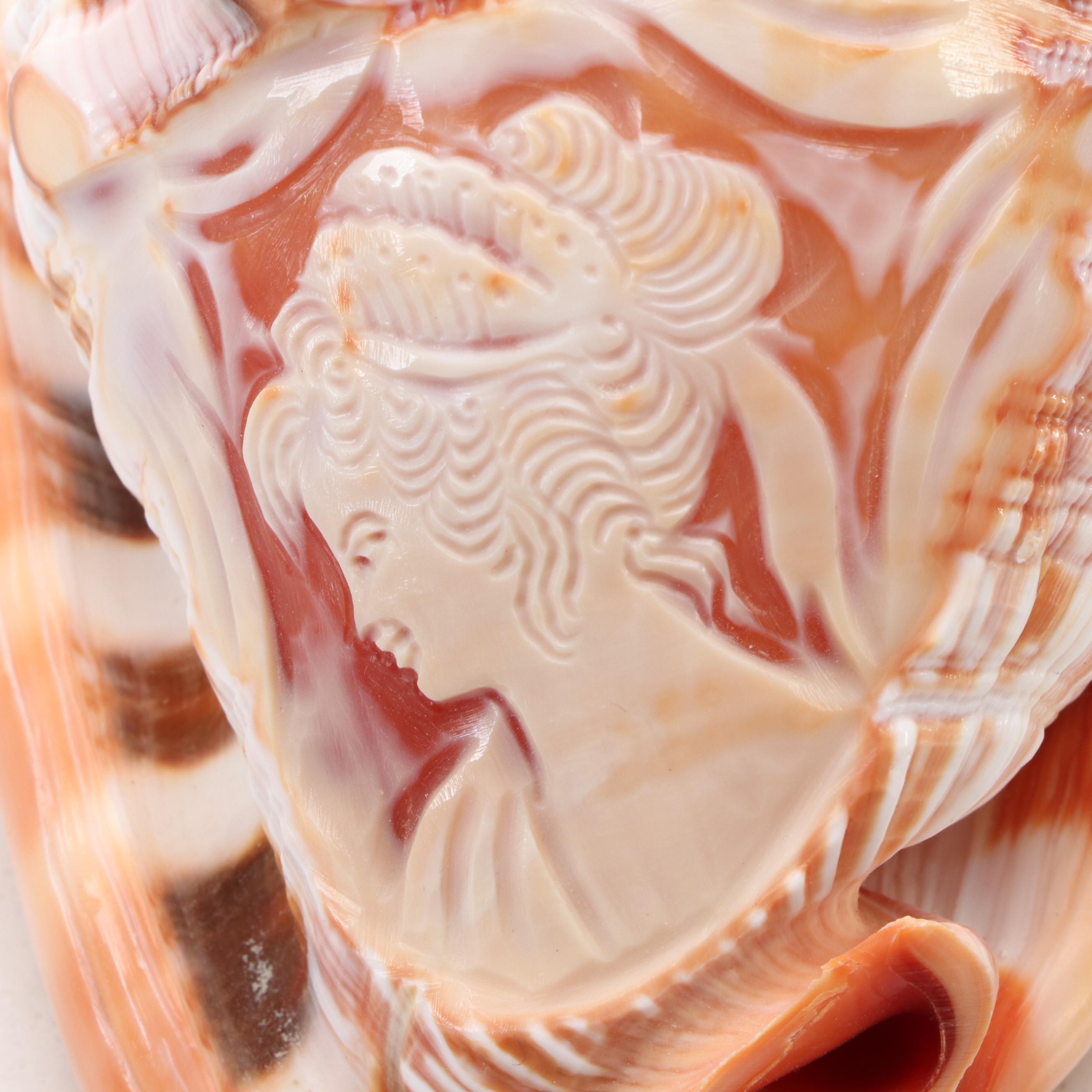 Italian Hand-Carved Cameo Helmet Bullmouth Shell