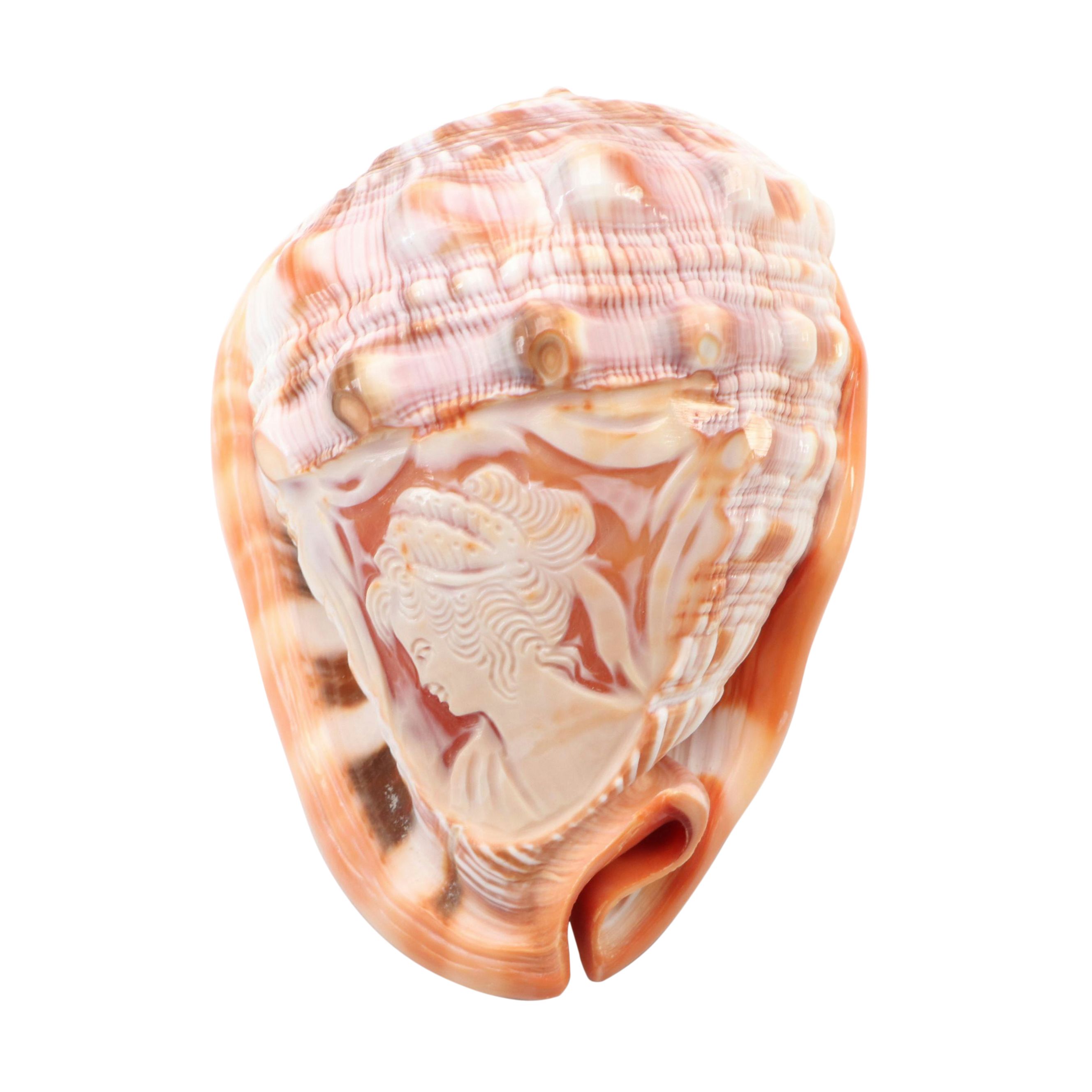 Italian Hand-Carved Cameo Helmet Bullmouth Shell