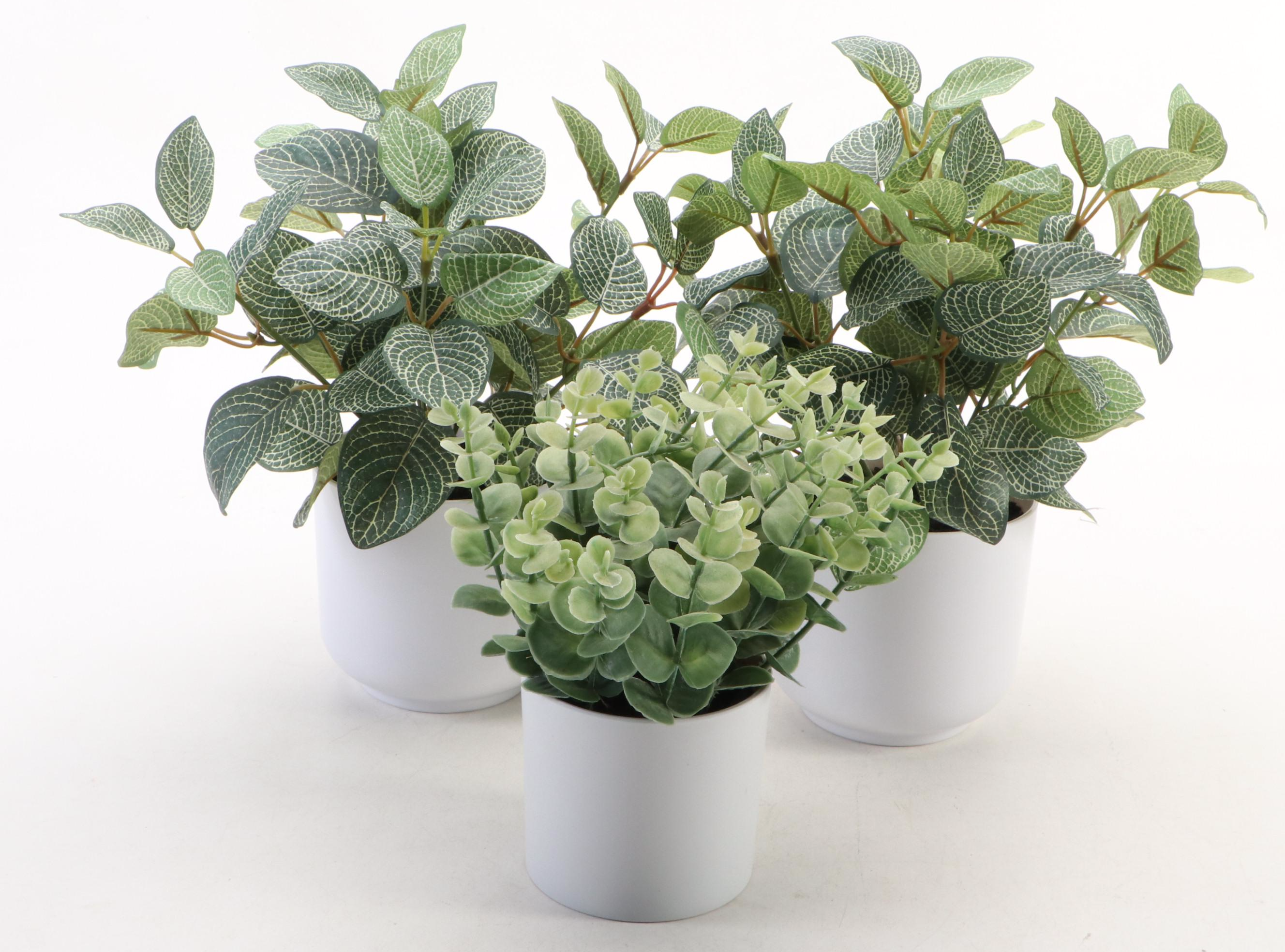 Artificial Plants, Rabbit Figurine in Cloche, Antler Sheds and Arhaus Tray