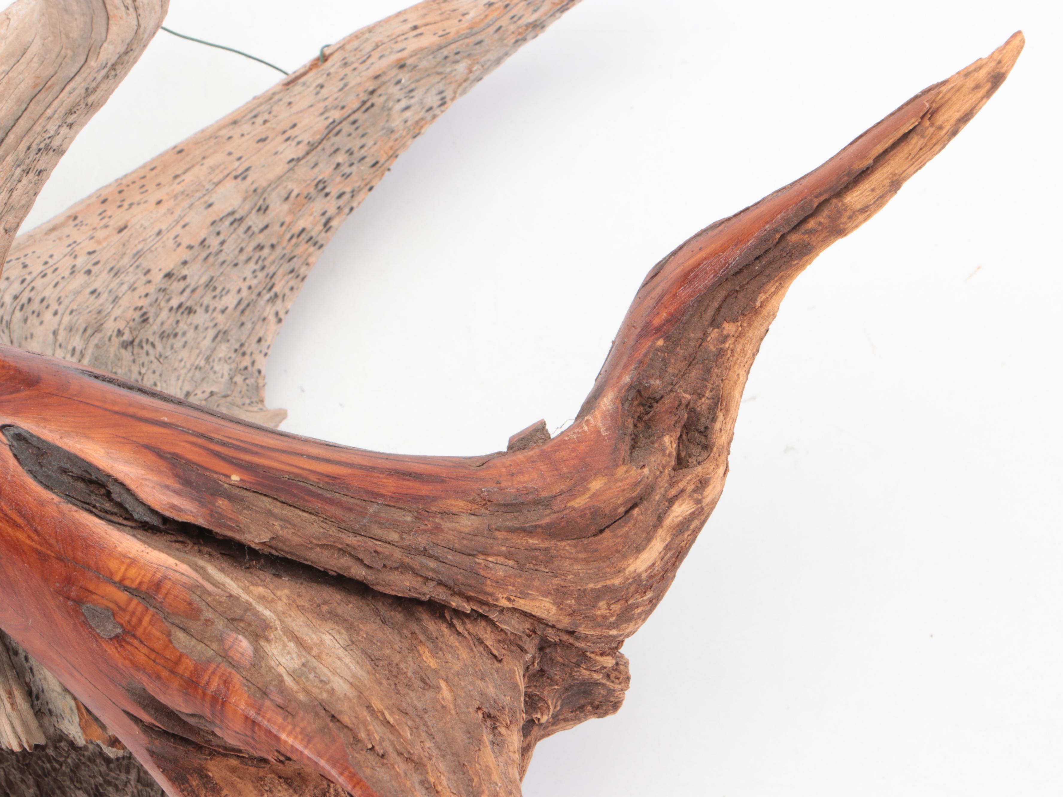 Driftwood Composition with Metamorphic Carved Duck in Flight