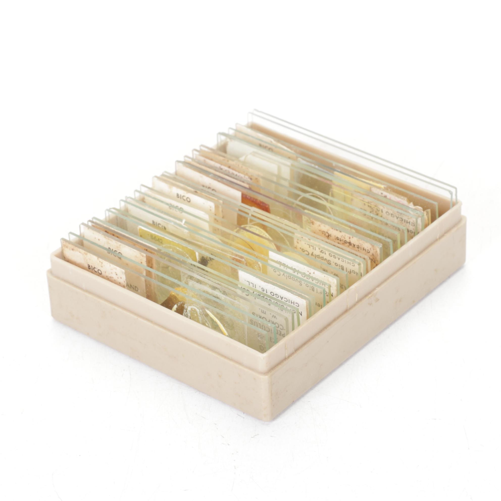 Bausch & Lomb Monocular Microscope with Case & Accessories