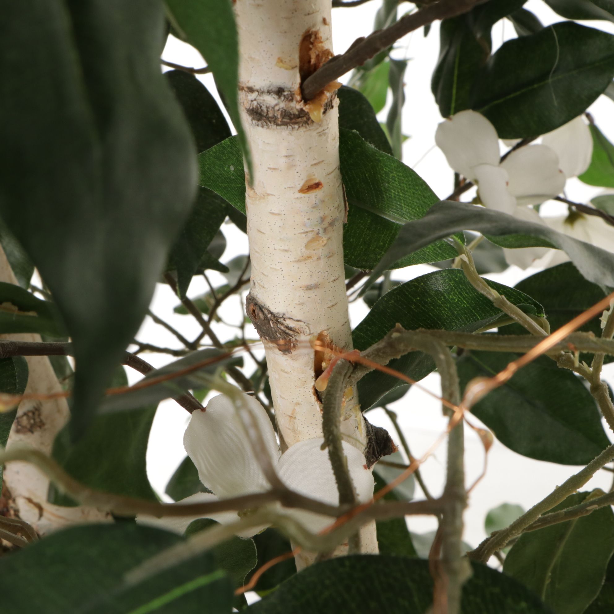 Artificial Birch Tree in Basket With Dogwood Blossoms and Battery LED Lights