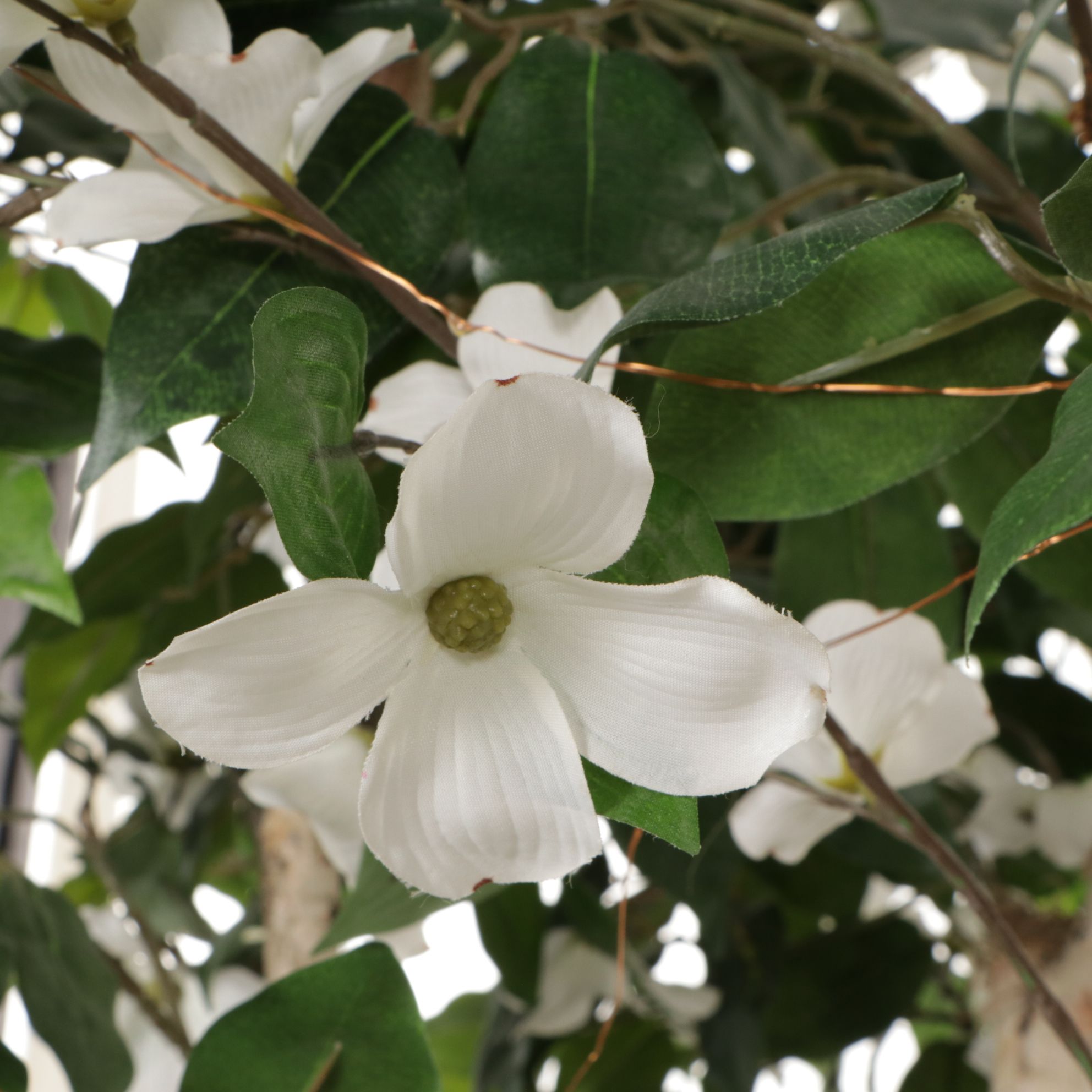Artificial Birch Tree in Basket With Dogwood Blossoms and Battery LED Lights