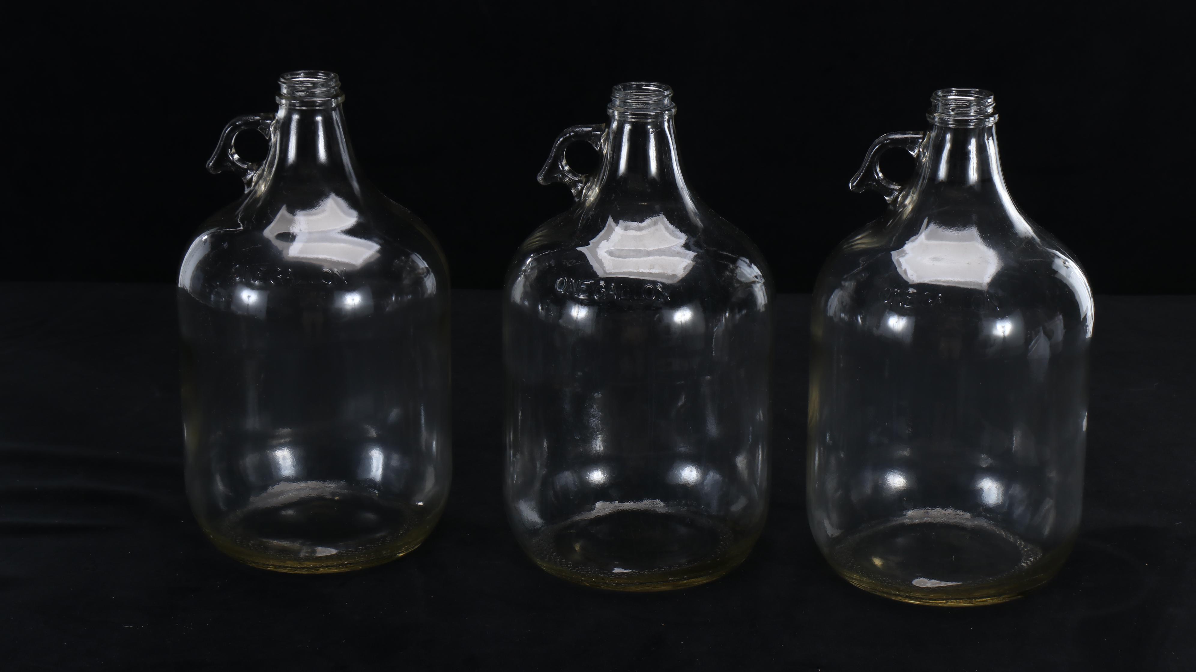 Northern Brewer Craft Beer-Making Kit with Wire Cap Bottles