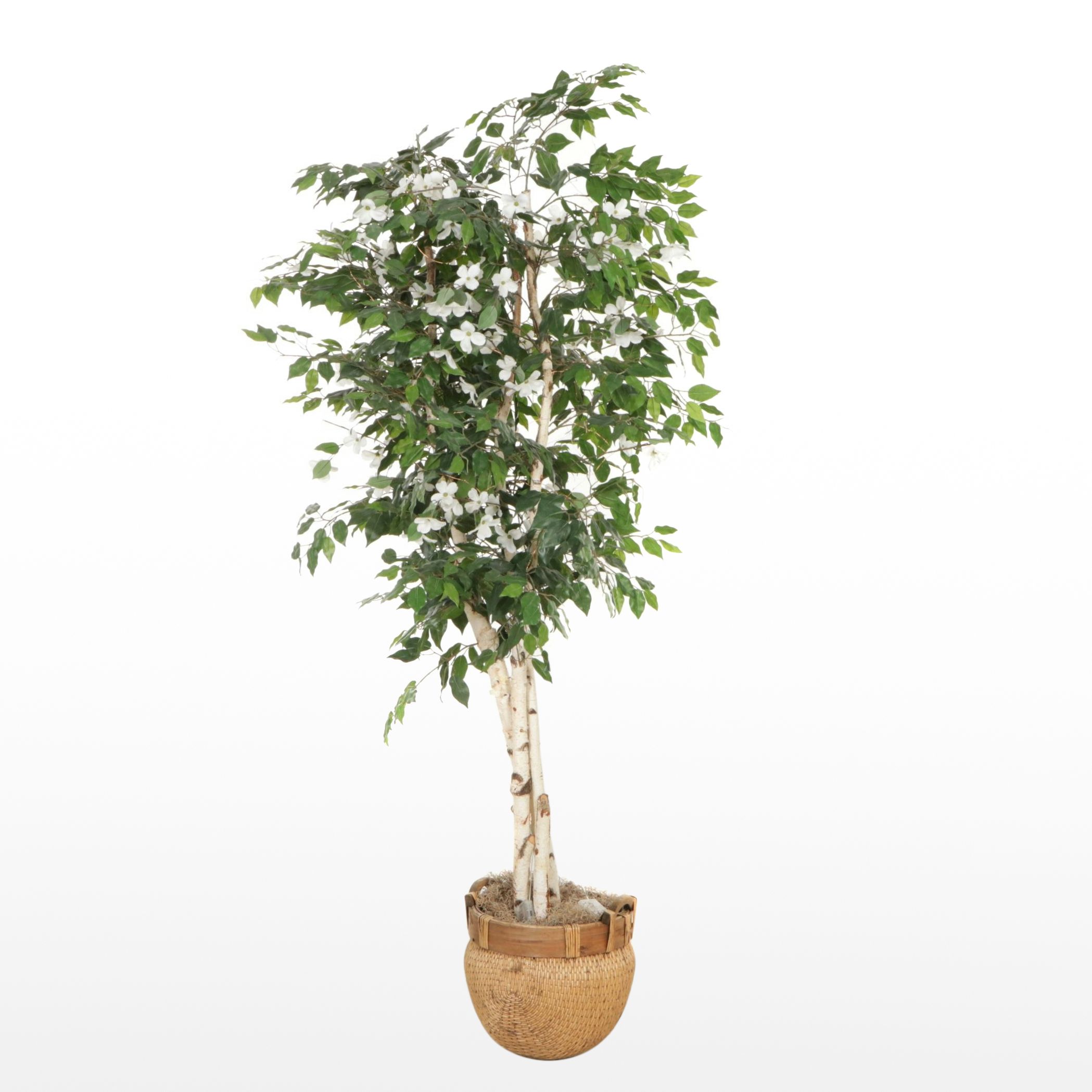 Artificial Birch Tree in Basket With Dogwood Blossoms and Battery LED Lights