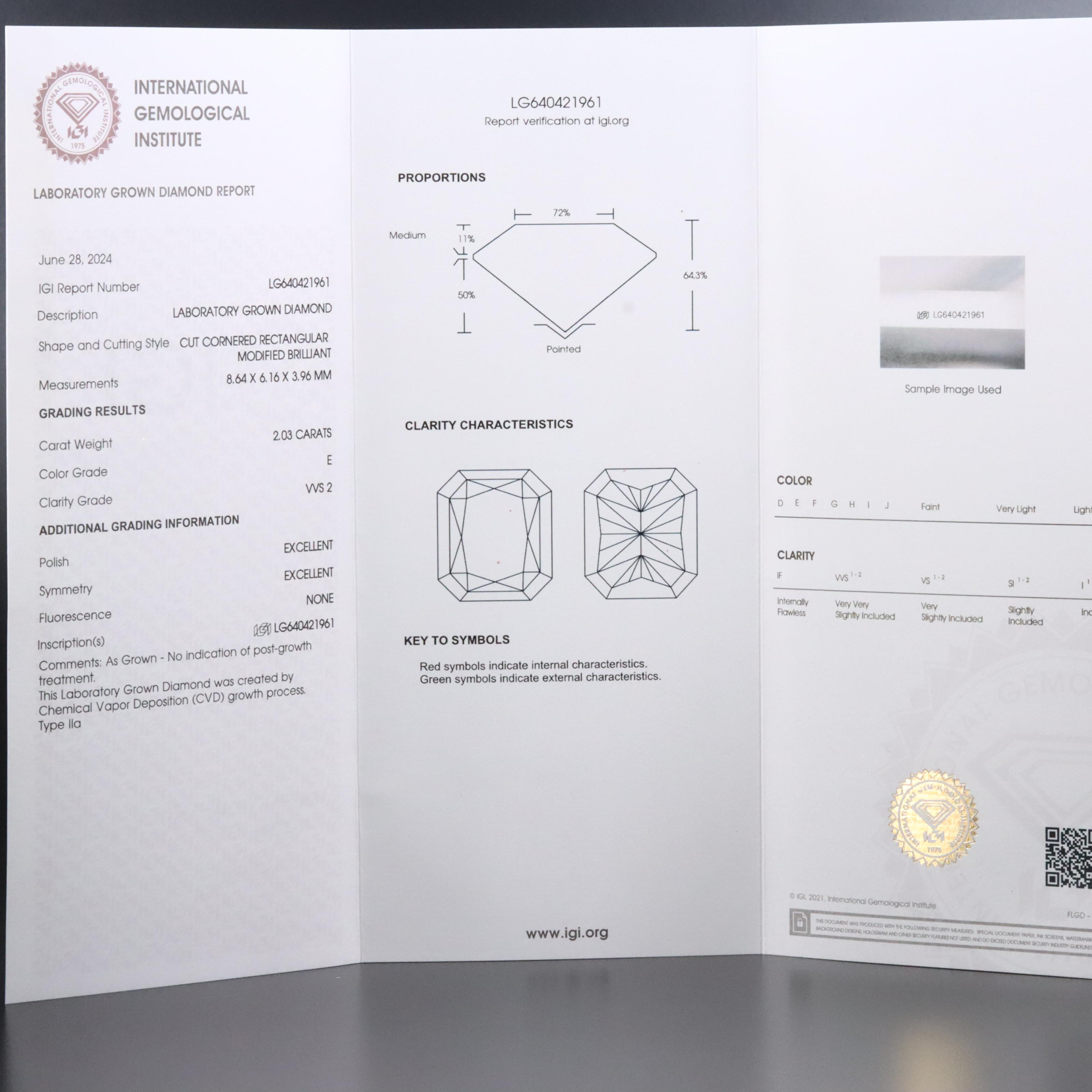 Platinum 4.07 CTW Lab Grown Diamond Stud Earrings with IGI Reports