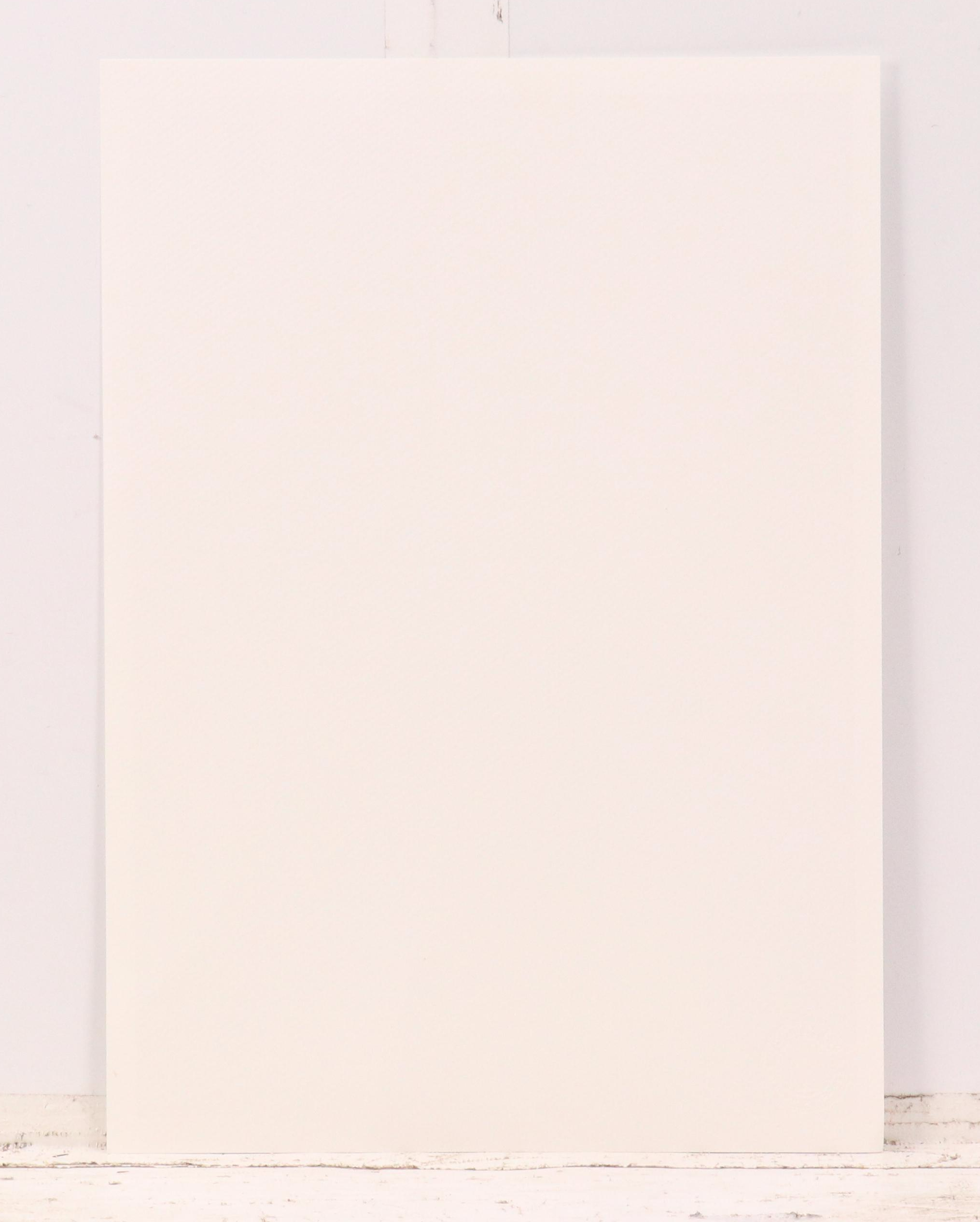 Death NYC Graphic Digital Print Homage Chanel and Dior Lion, 2024