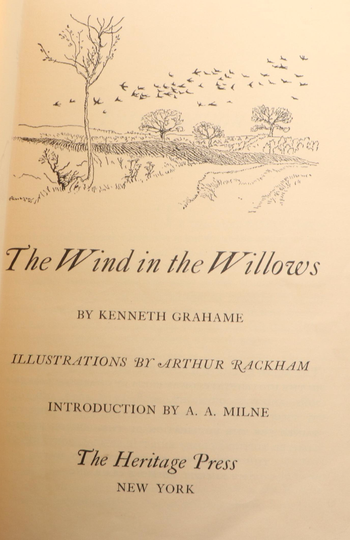 Arthur Rackham Illustrated "The Wind in the Willows" by Kenneth Grahame, 1940