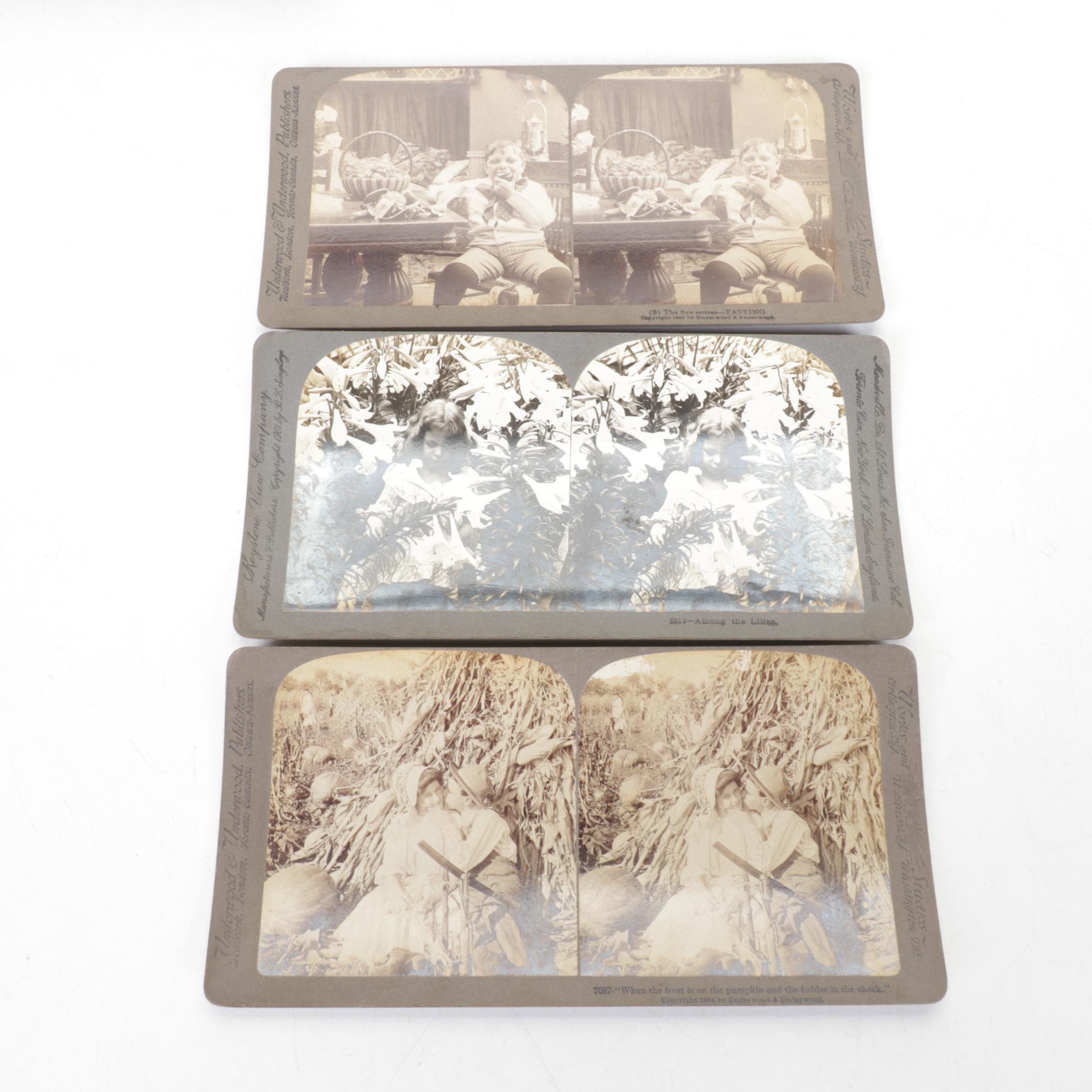 Perfecscope Hand-Held Steroscope with Lithograph Cards