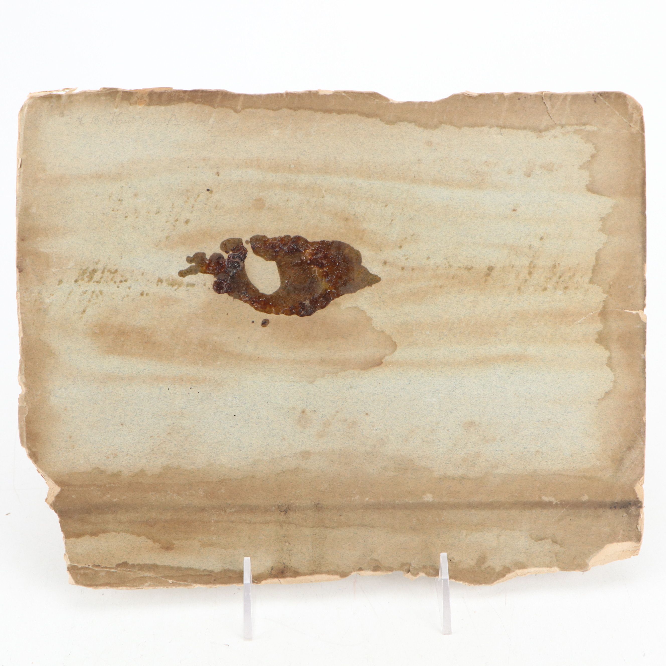 Civil War Era Photograph of Soldiers, Mid-19th Century