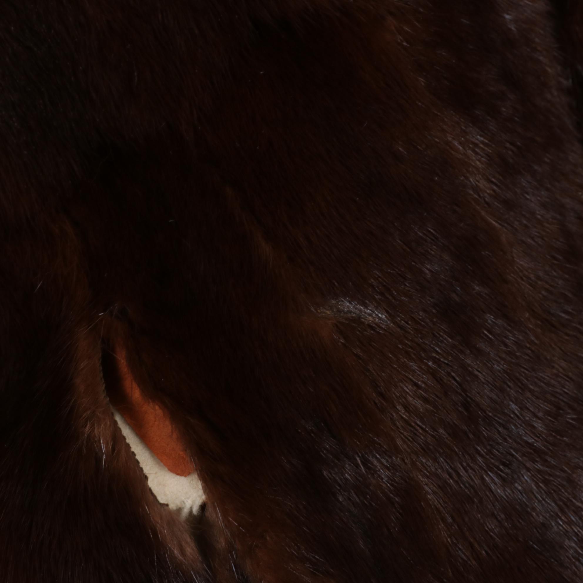 Fur Nakamura Mahogany Mink Fur Stole