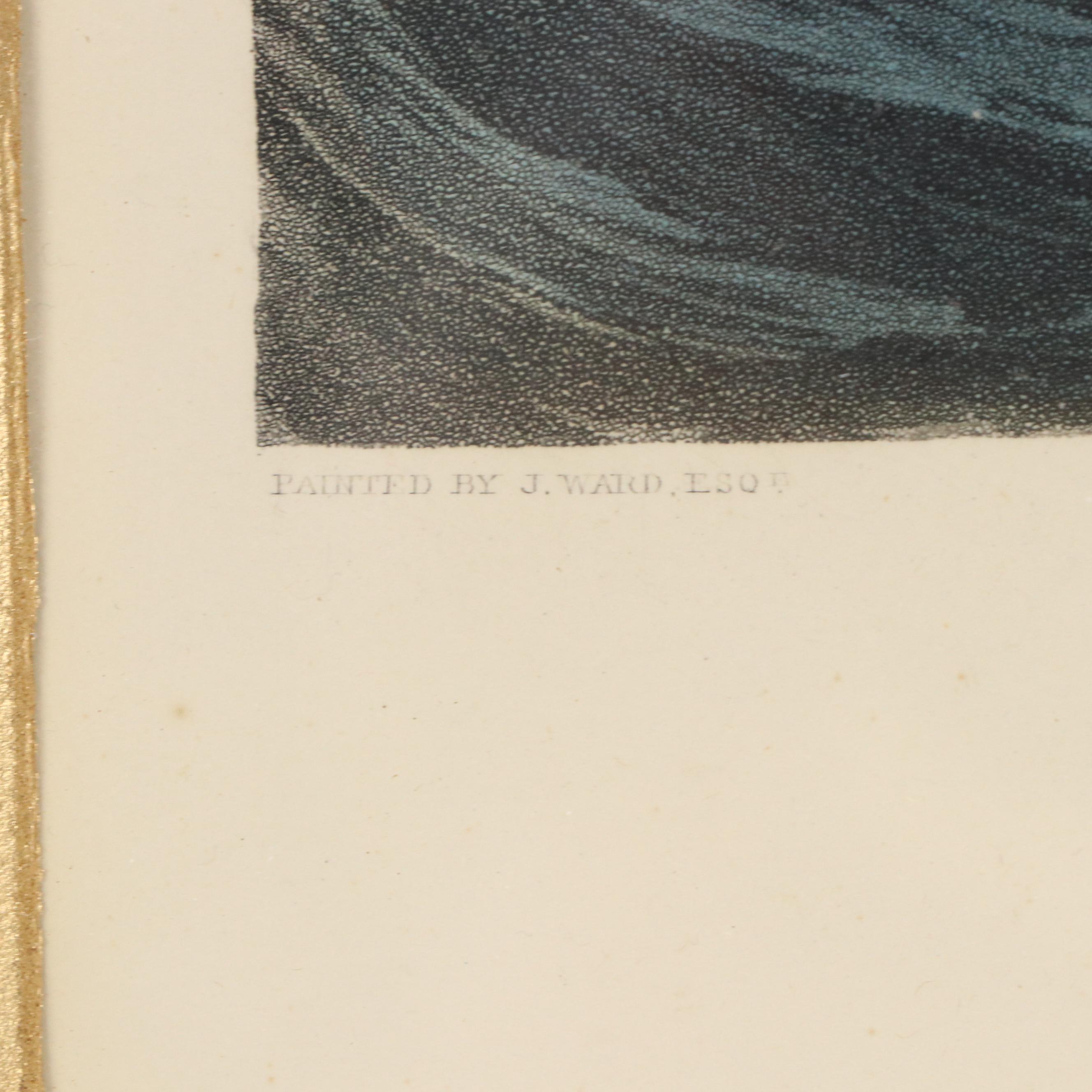 Hand-Colored Aquatint "Vivid and Waterwitch, Off Orforness in a Breeze"