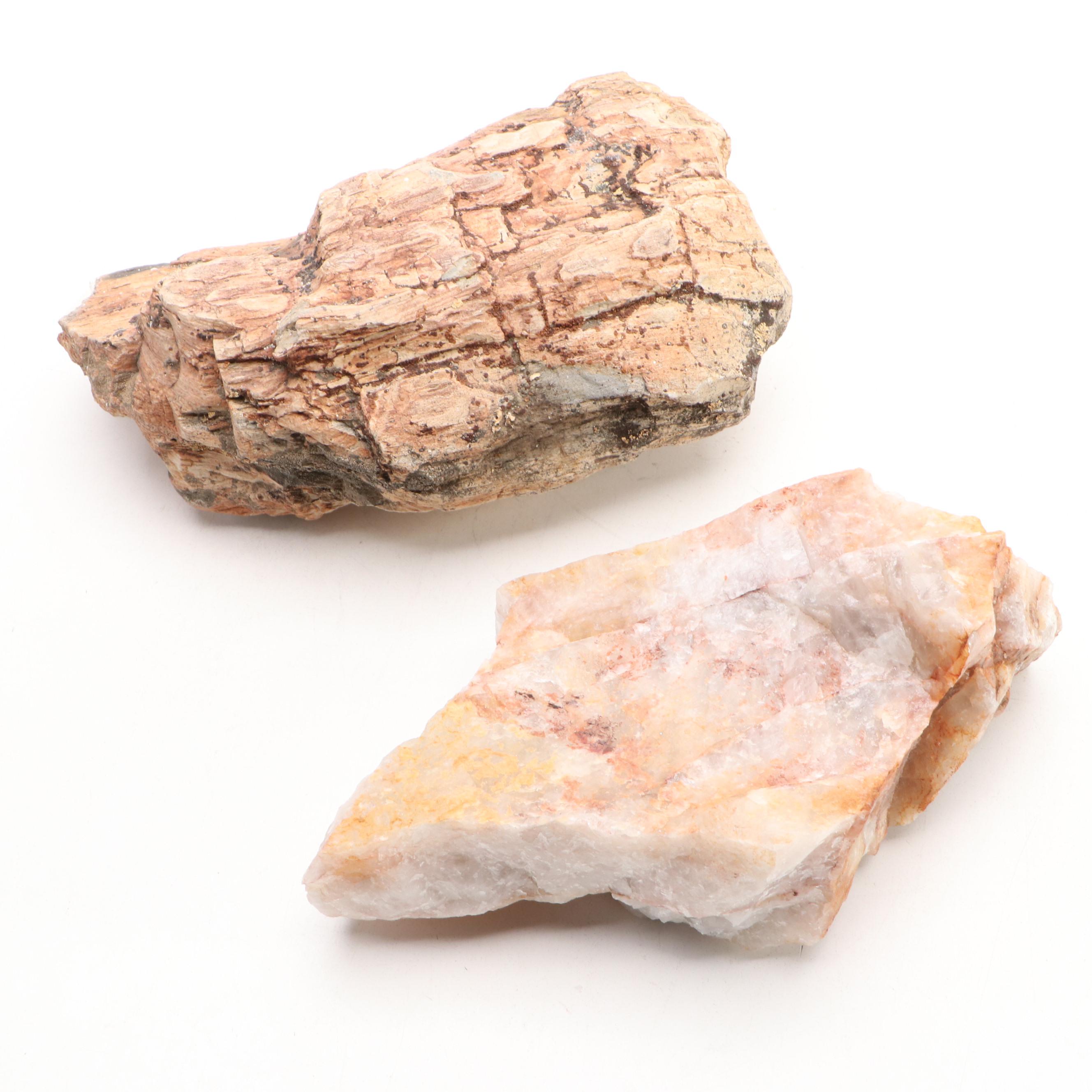 Petrified Wood and Calcite Specimens