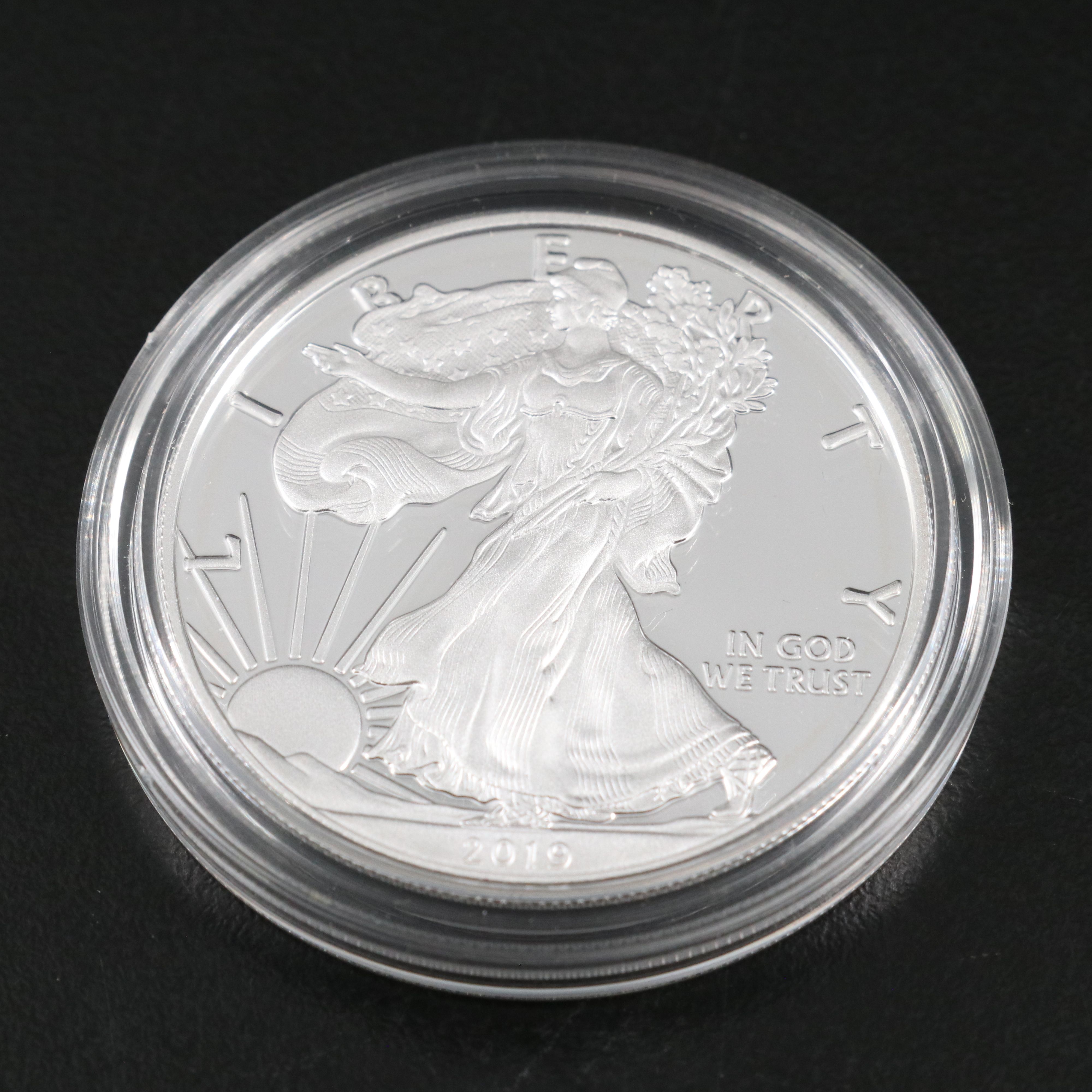 Two American Silver Eagle Proof Coins 2018 and 2019