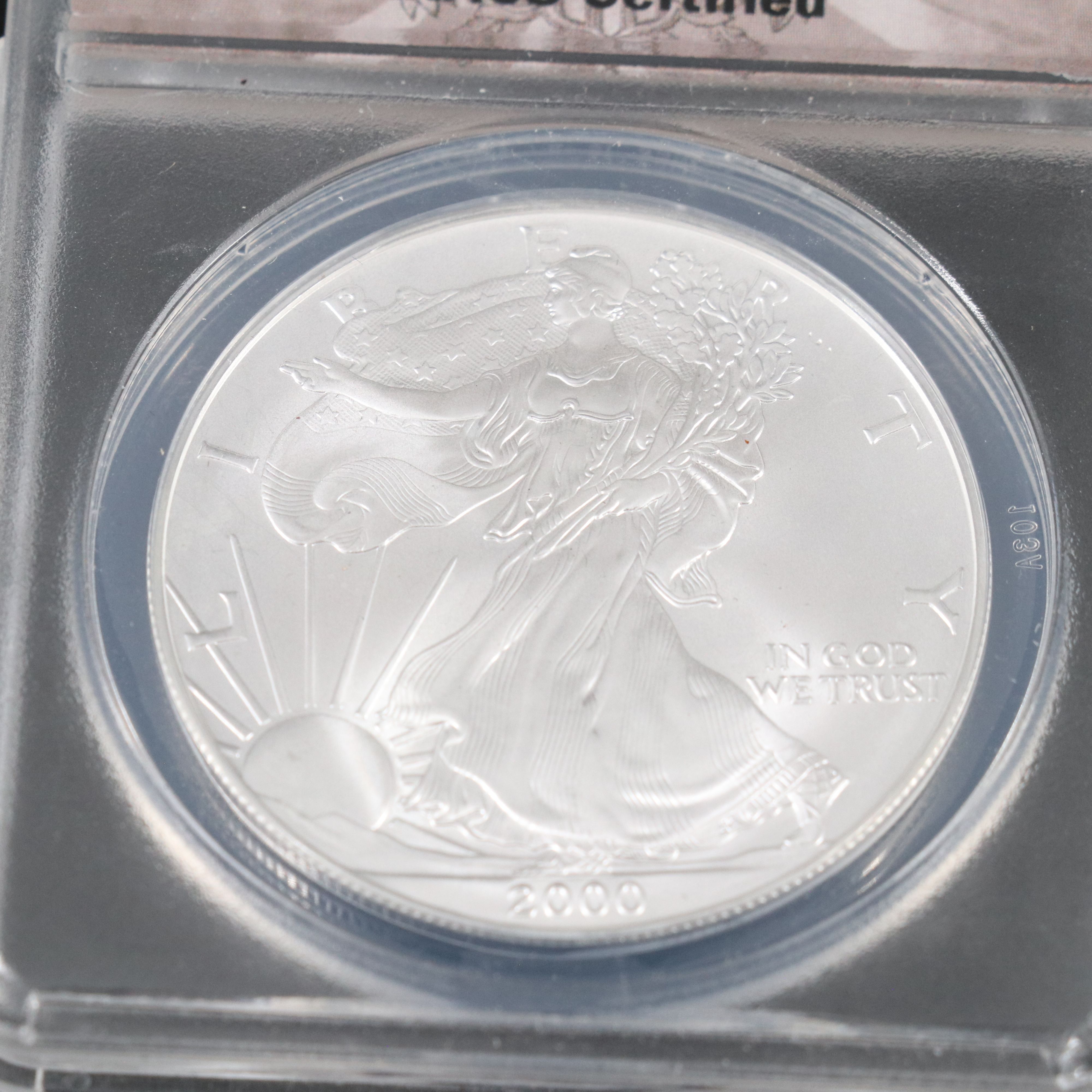 Two American Silver Eagle Coins 2000 and 2007
