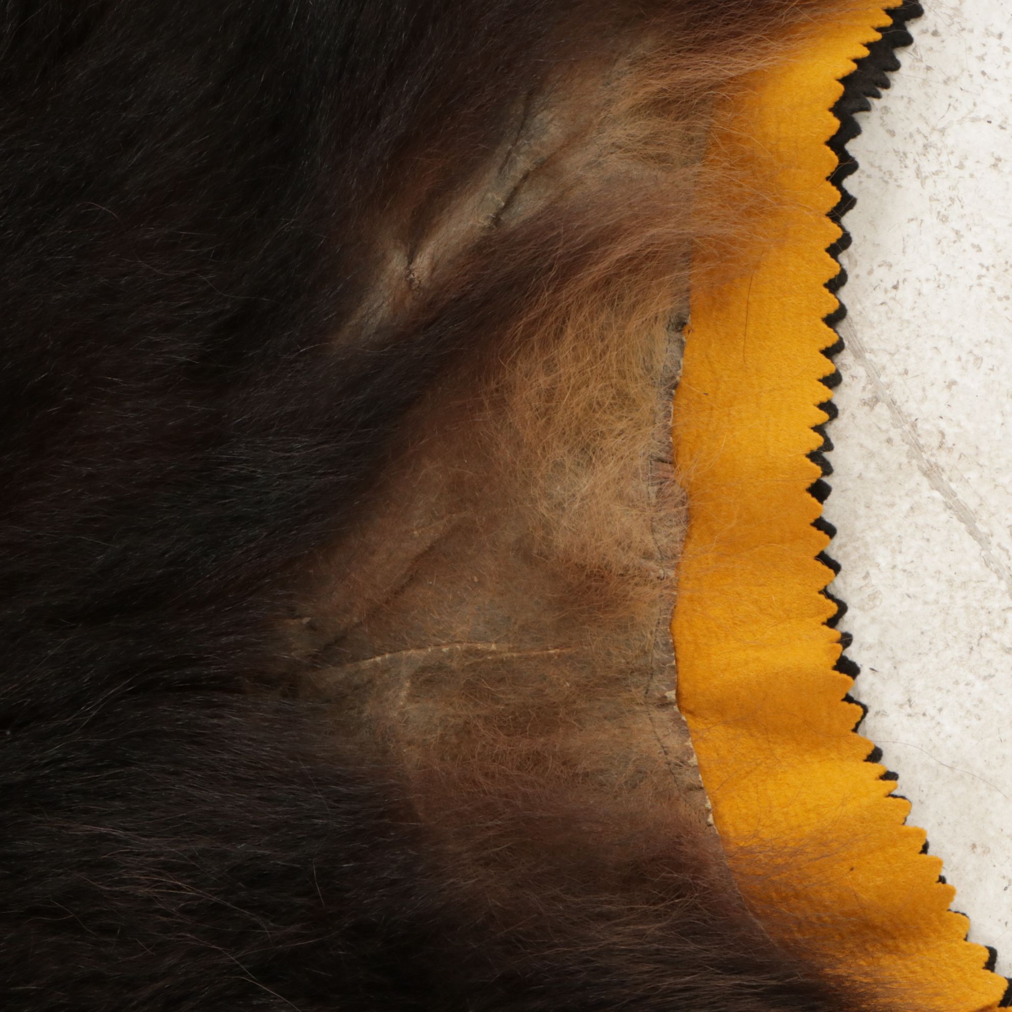 Taxidermy American Black Bear Full Body Rug