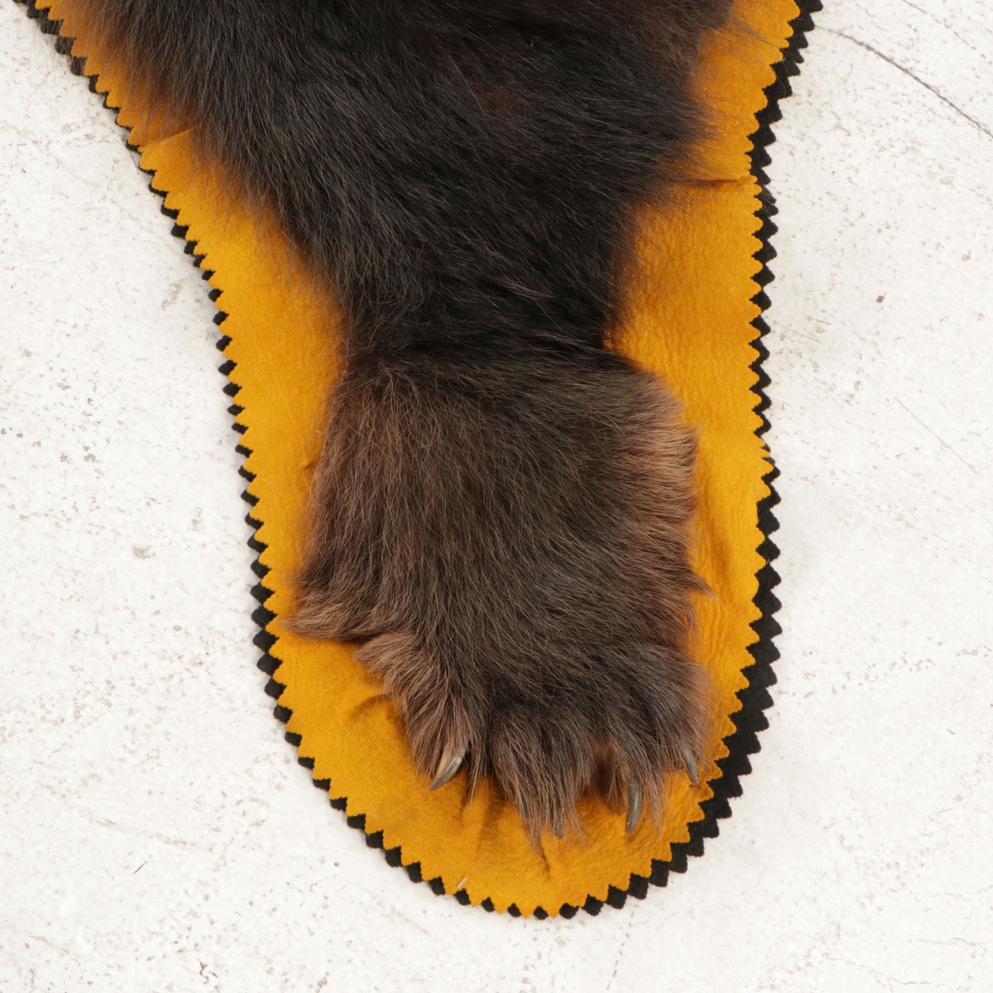 Taxidermy American Black Bear Full Body Rug