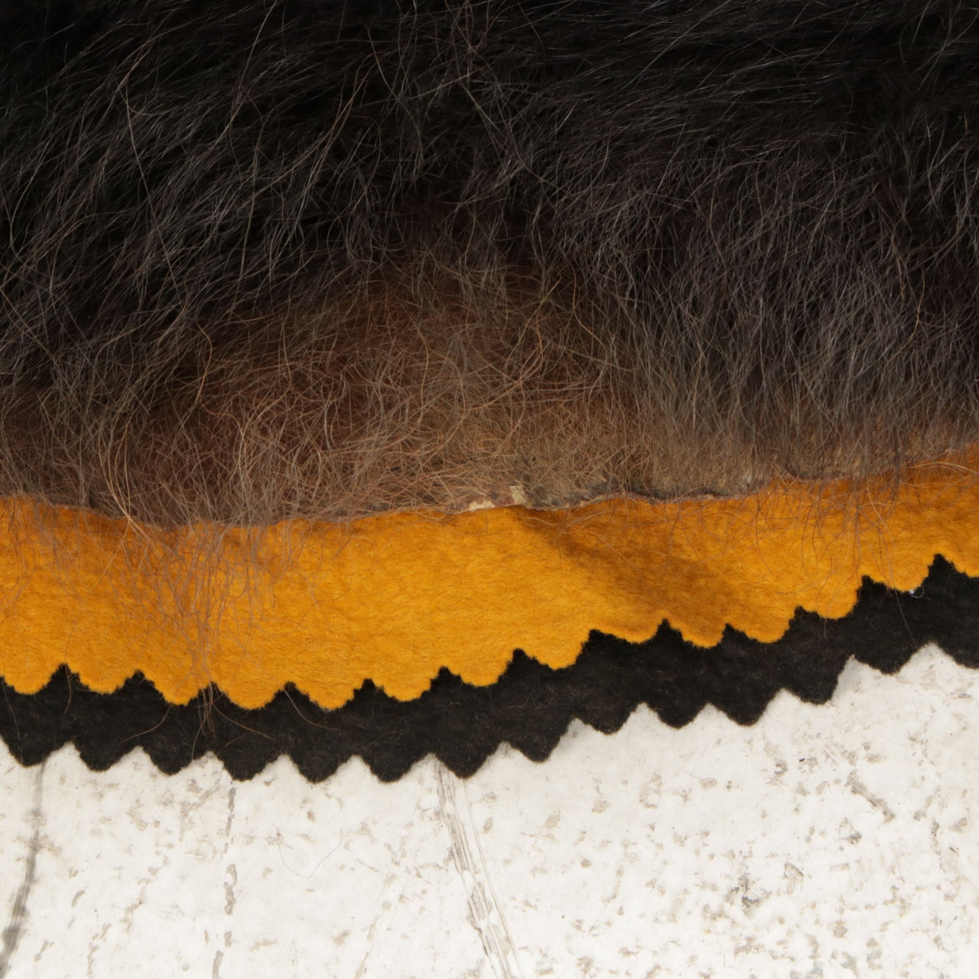 Taxidermy American Black Bear Full Body Rug